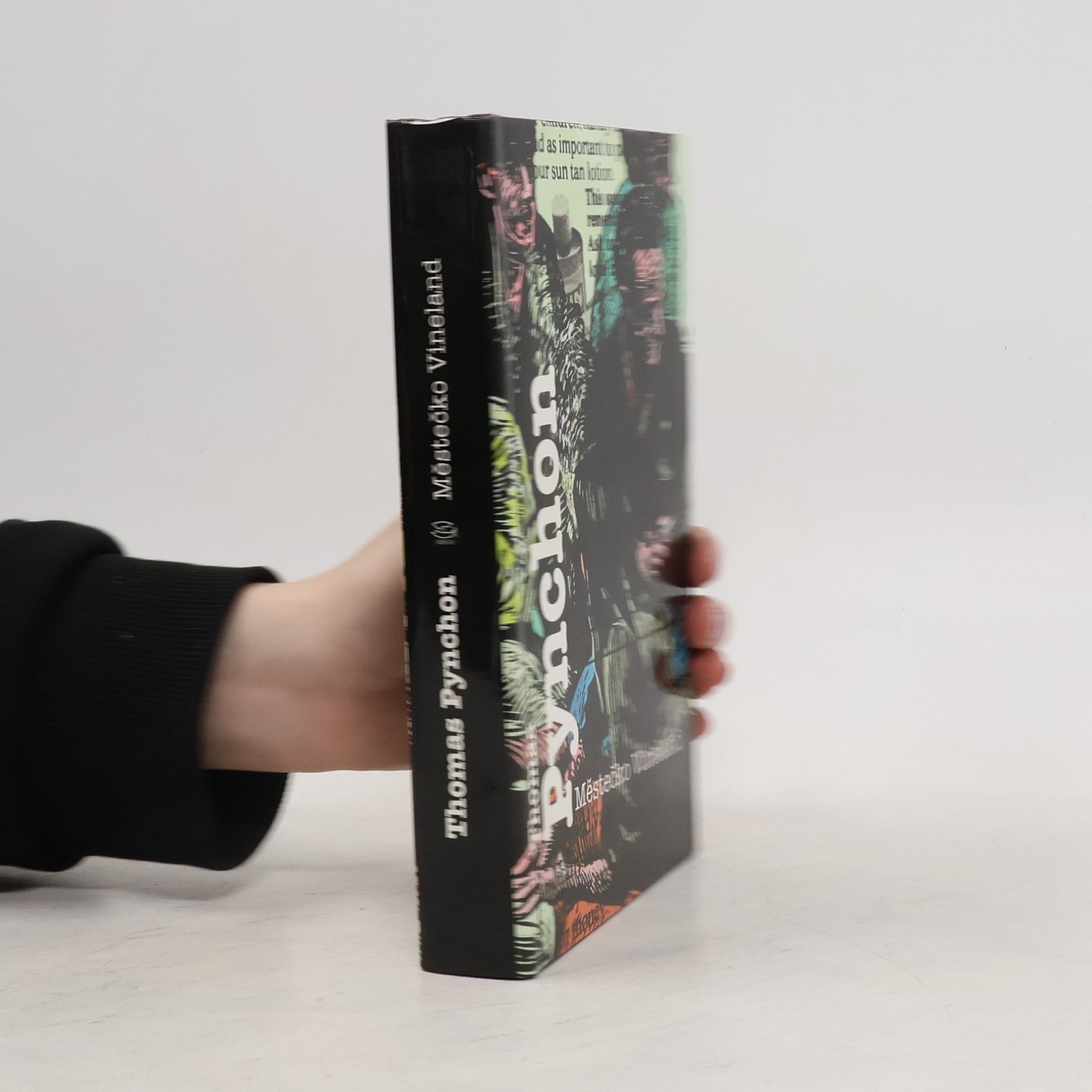 Thomas Pynchon Městečko Vineland