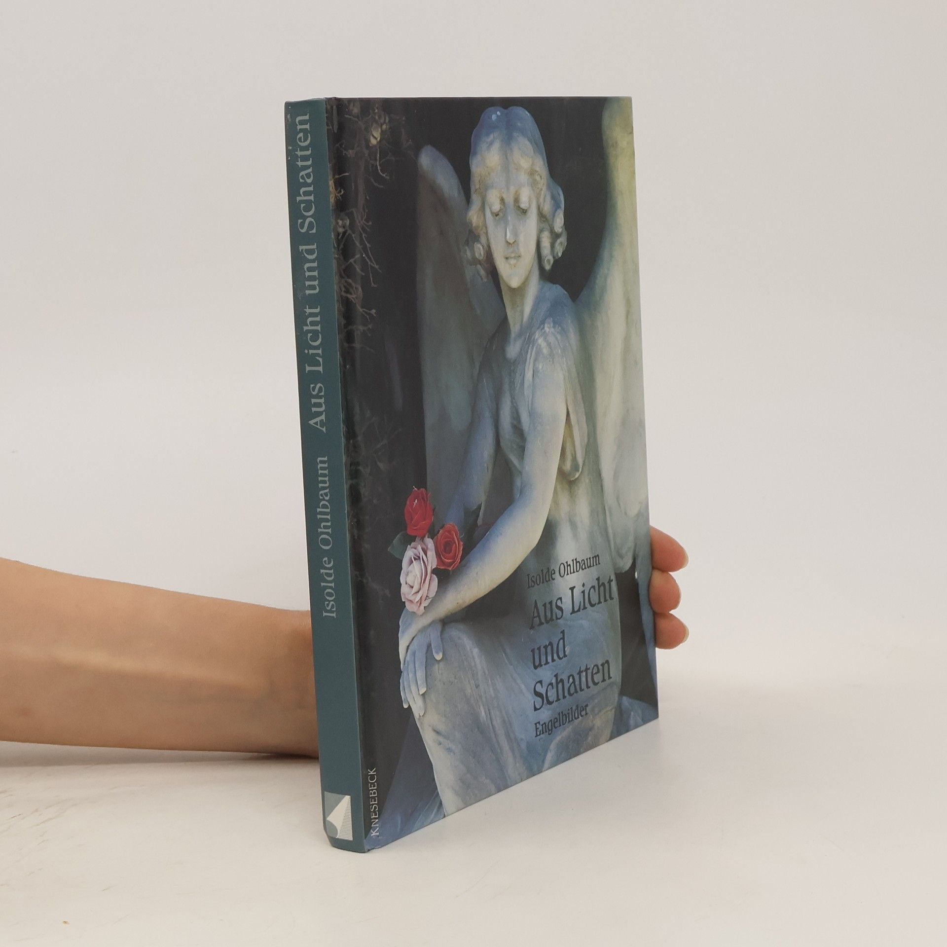 Isolde Ohlbaum Aus Licht und Schatten