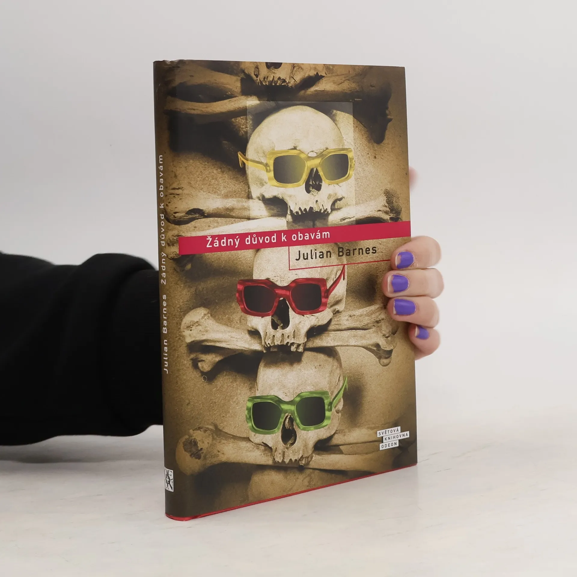 Žádný důvod k obavám | Book | Julian Barnes | CS