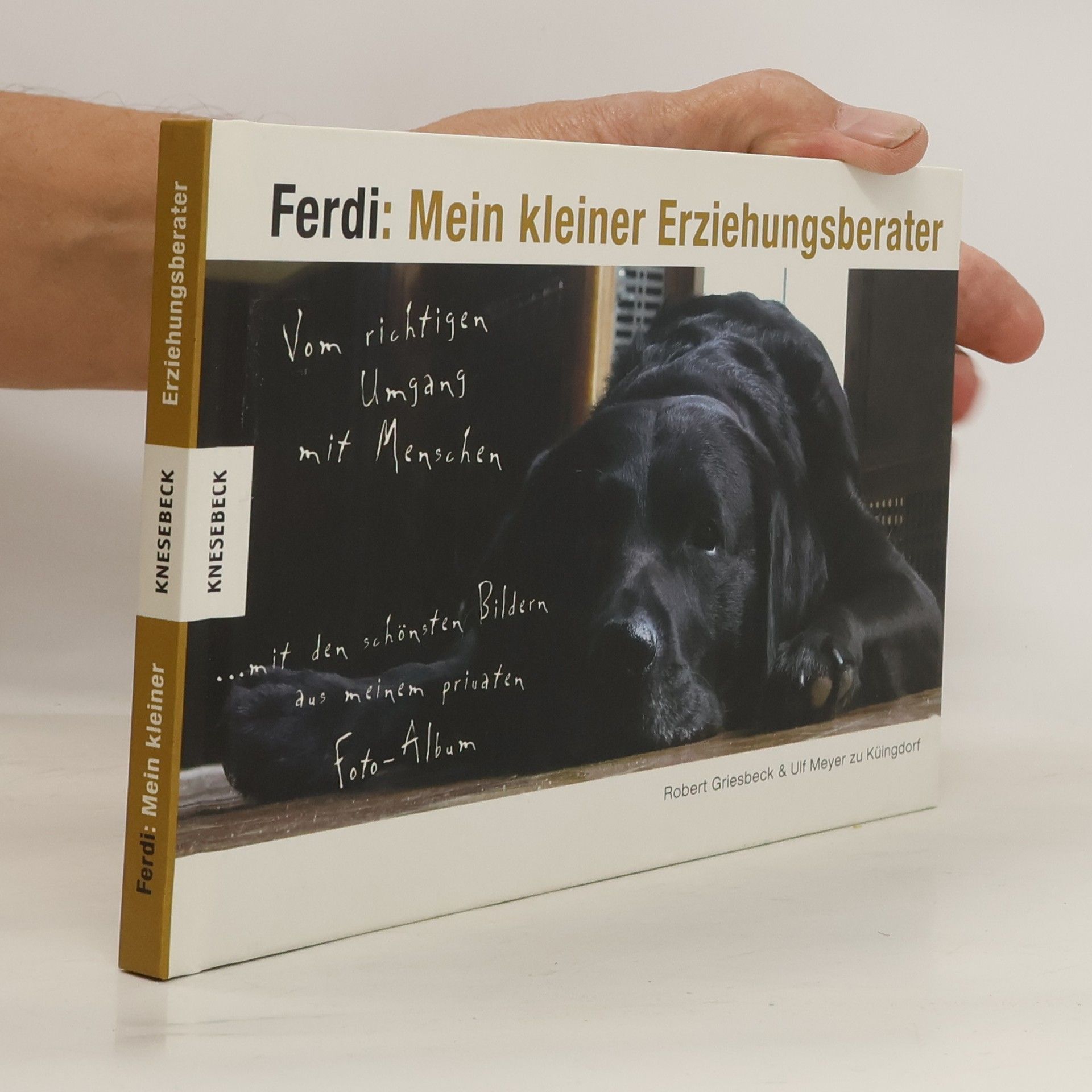 Robert Griesbeck Ferdi: mein kleiner Erziehungsberater