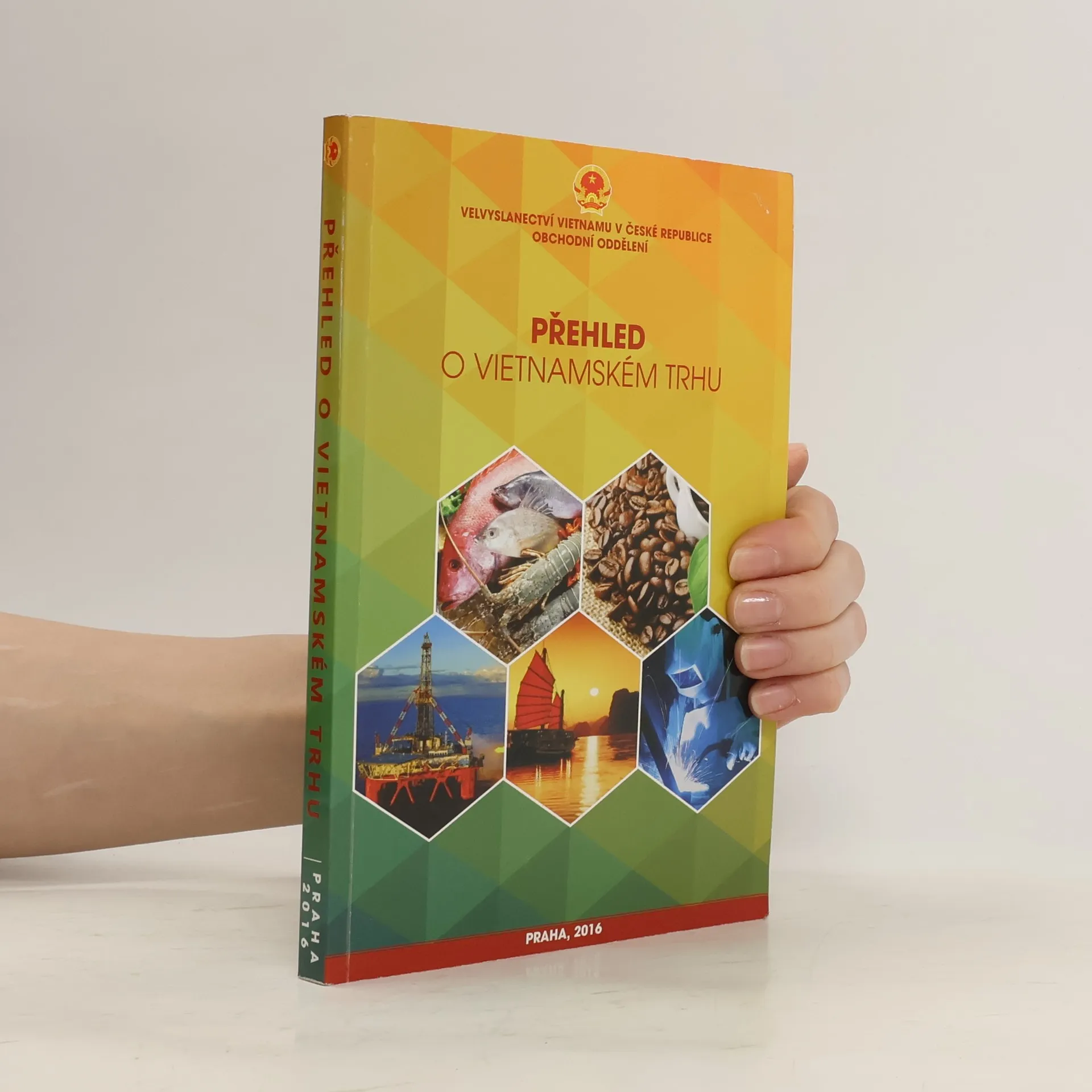 Přehled o vietnamském trhu | Book | Son Manh Truong | CS