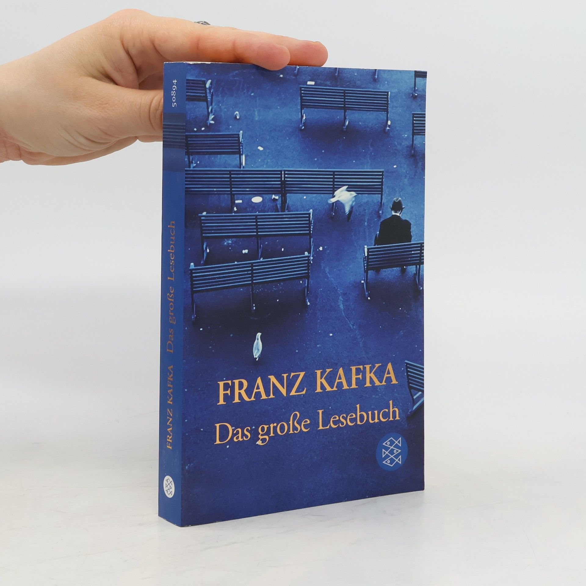 Franz Kafka Das große Lesebuch