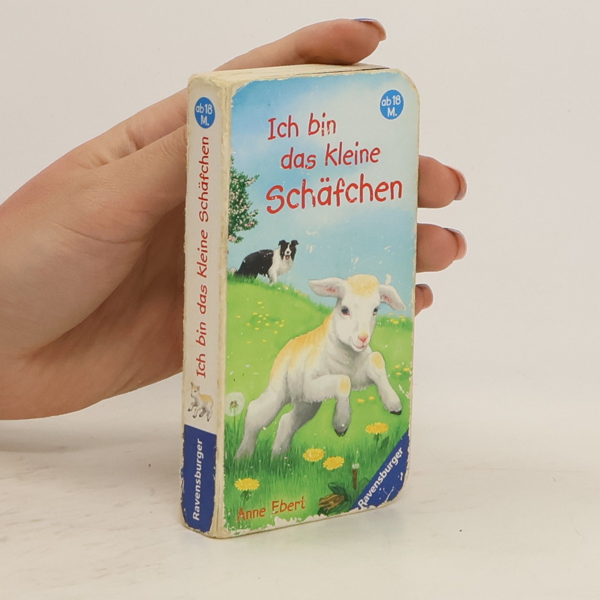 Ana Weller Ich bin das kleine Schäfchen