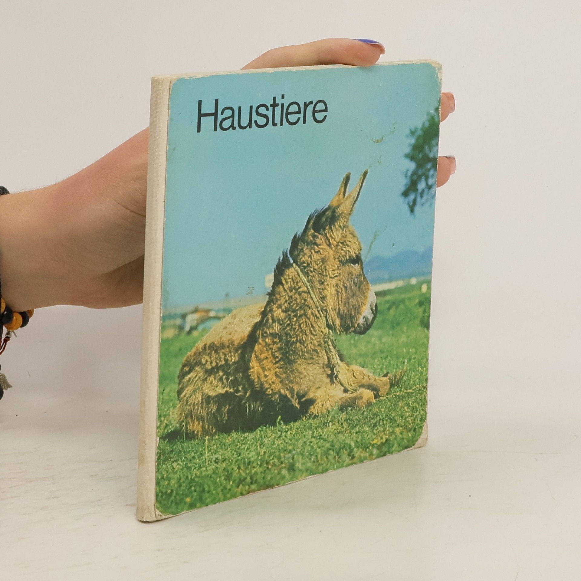 Autorenkollektiv Haustiere
