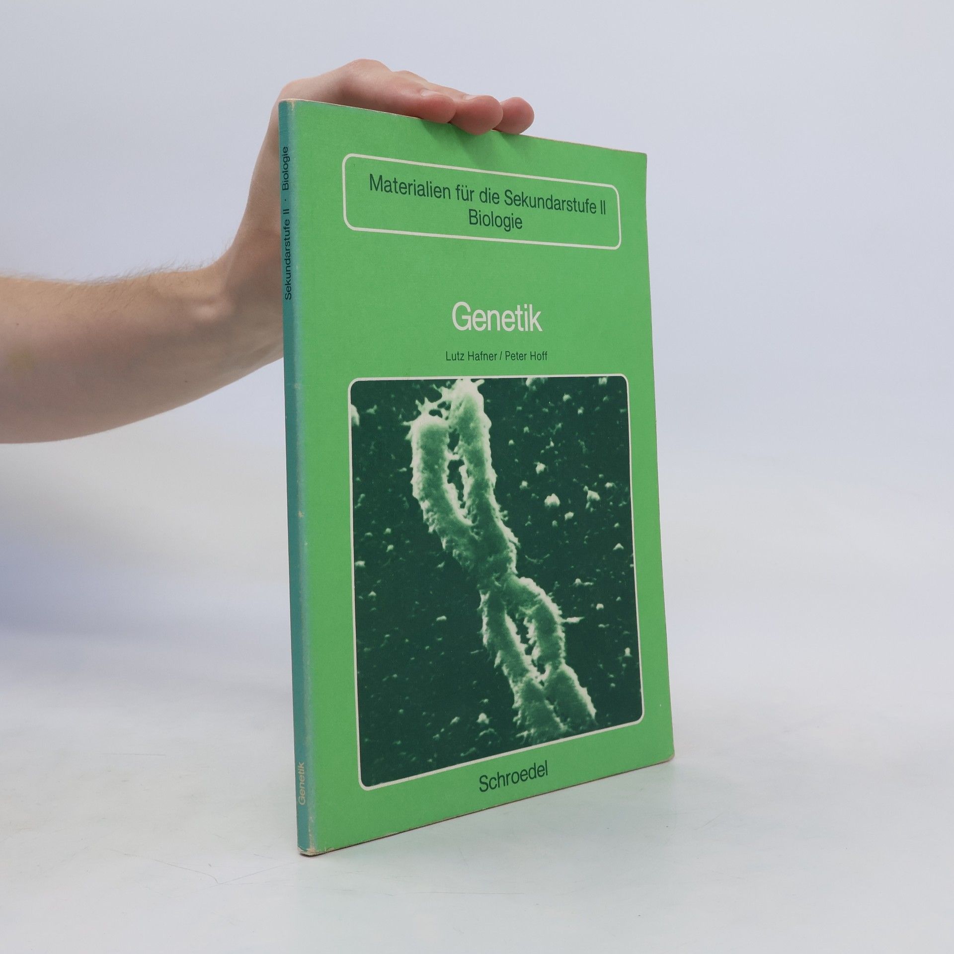 Autorenkollektiv Biologie heute entdecken 12/13