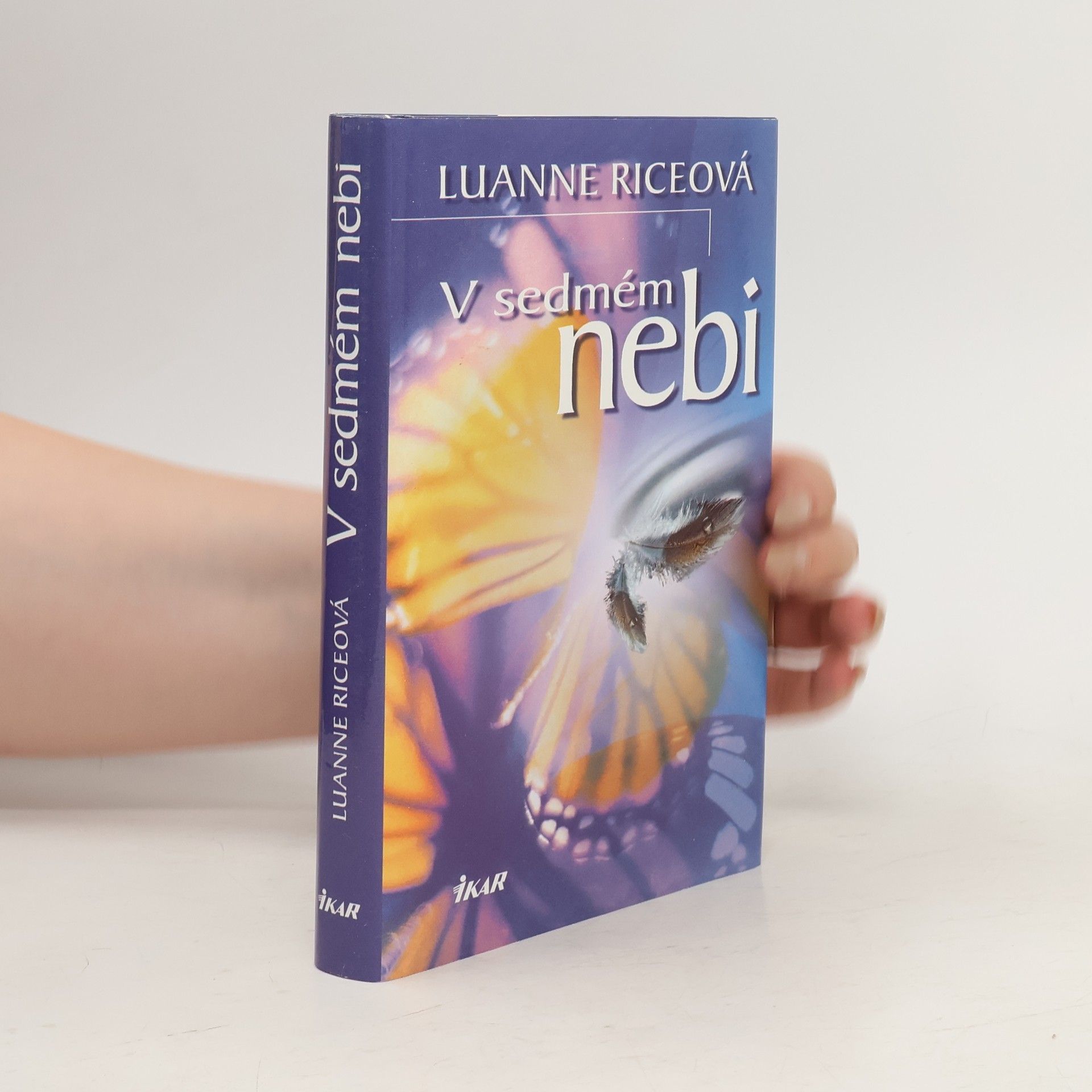 Luanne Rice V sedmém nebi