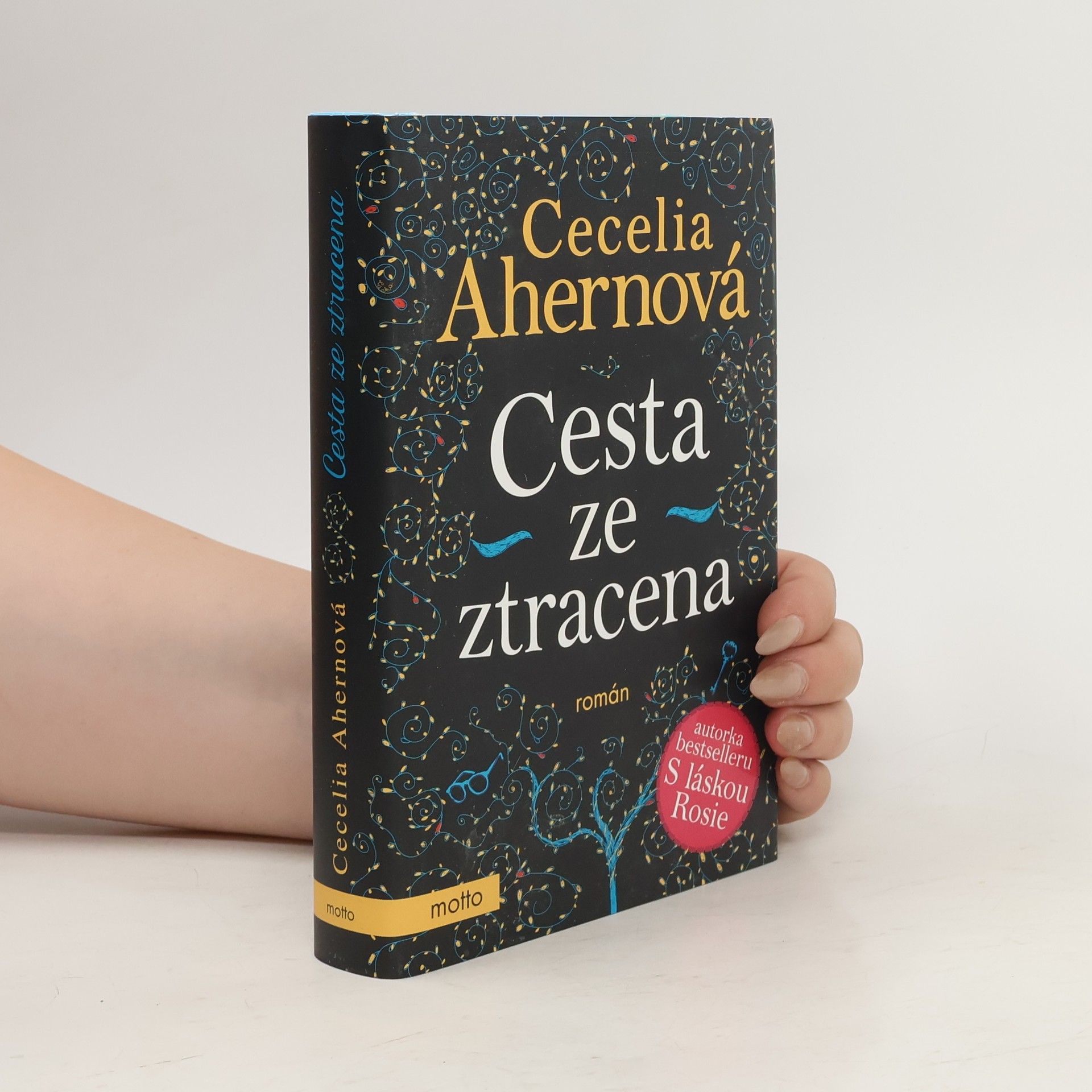 Cecelia Ahern Cesta ze ztracena