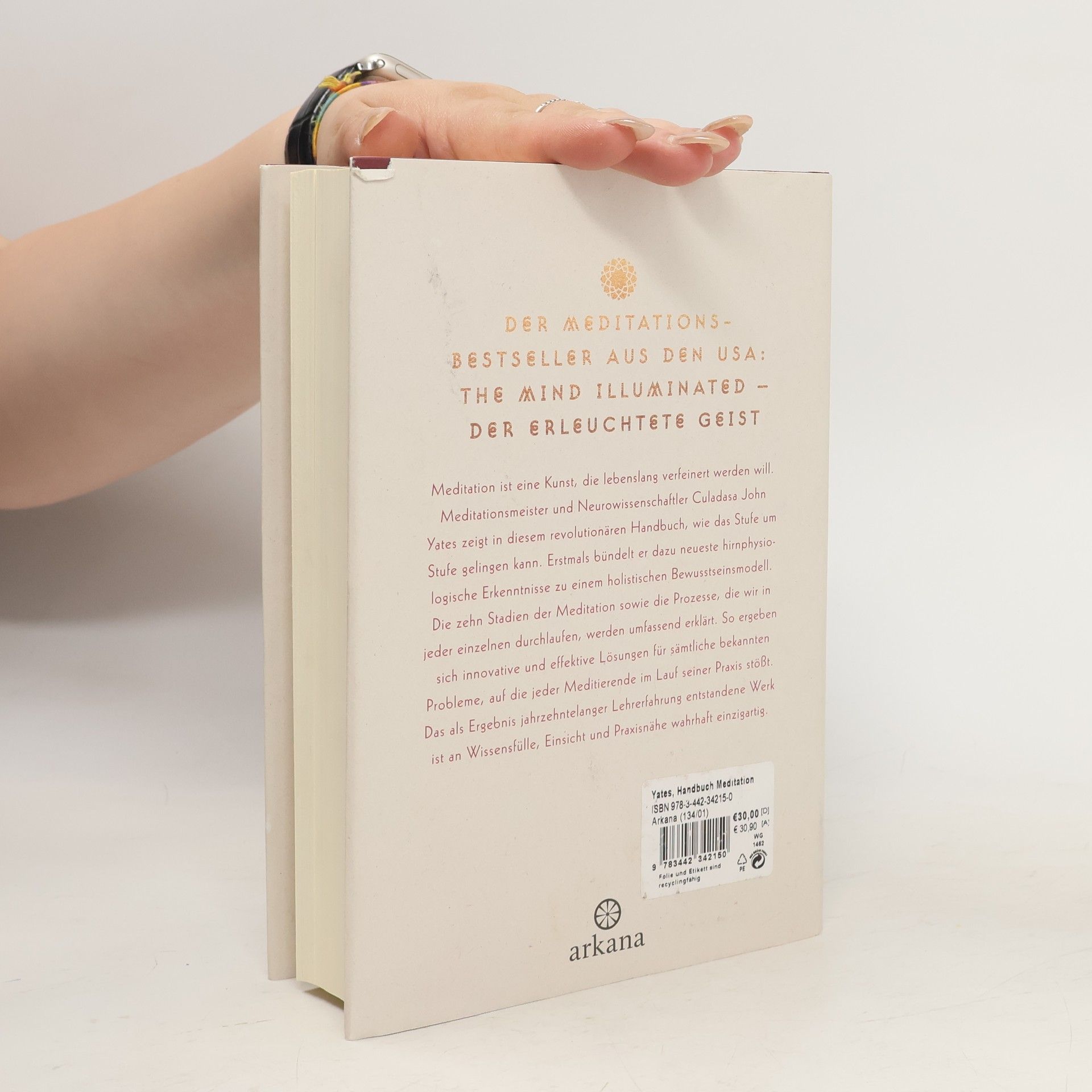 Culadasa John Yates Handbuch Meditation