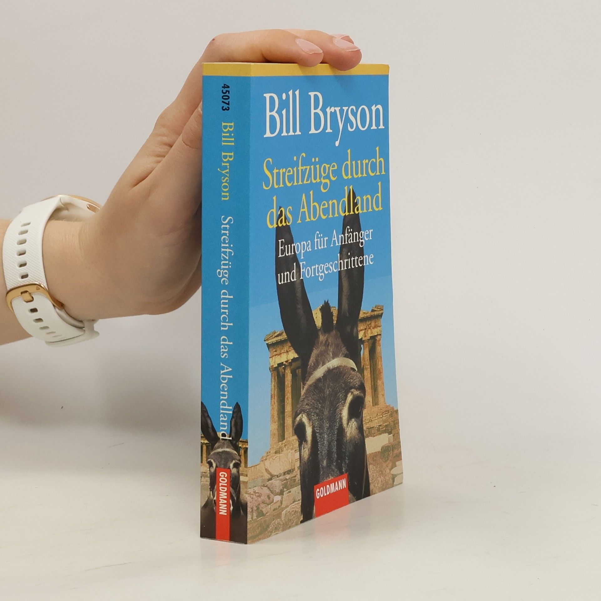 Bill Bryson Streifzüge durch das Abendland