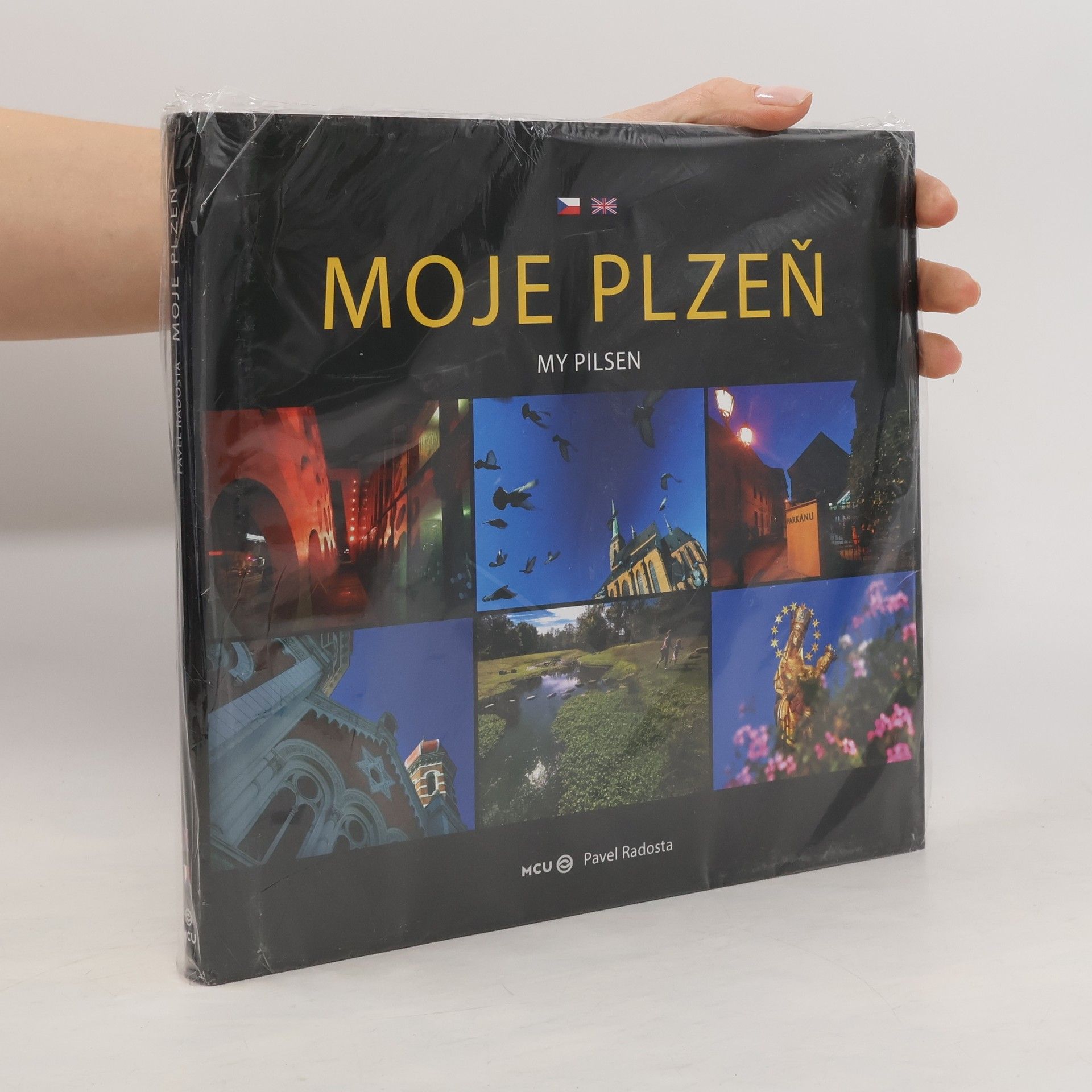 Pavel Radosta Moje Plzeň = My Pilsen