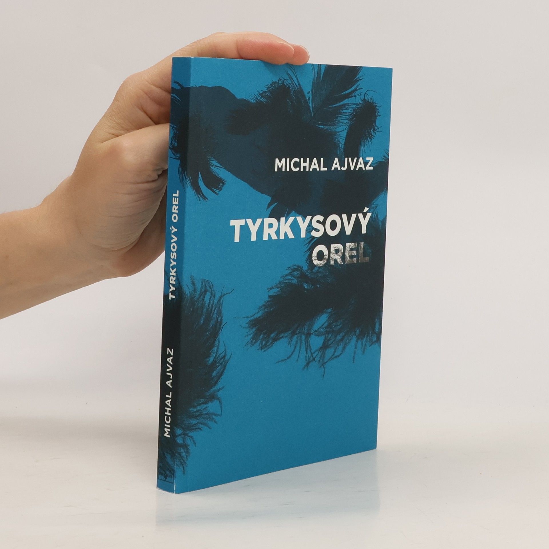 Michal Ajvaz Tyrkysový orel