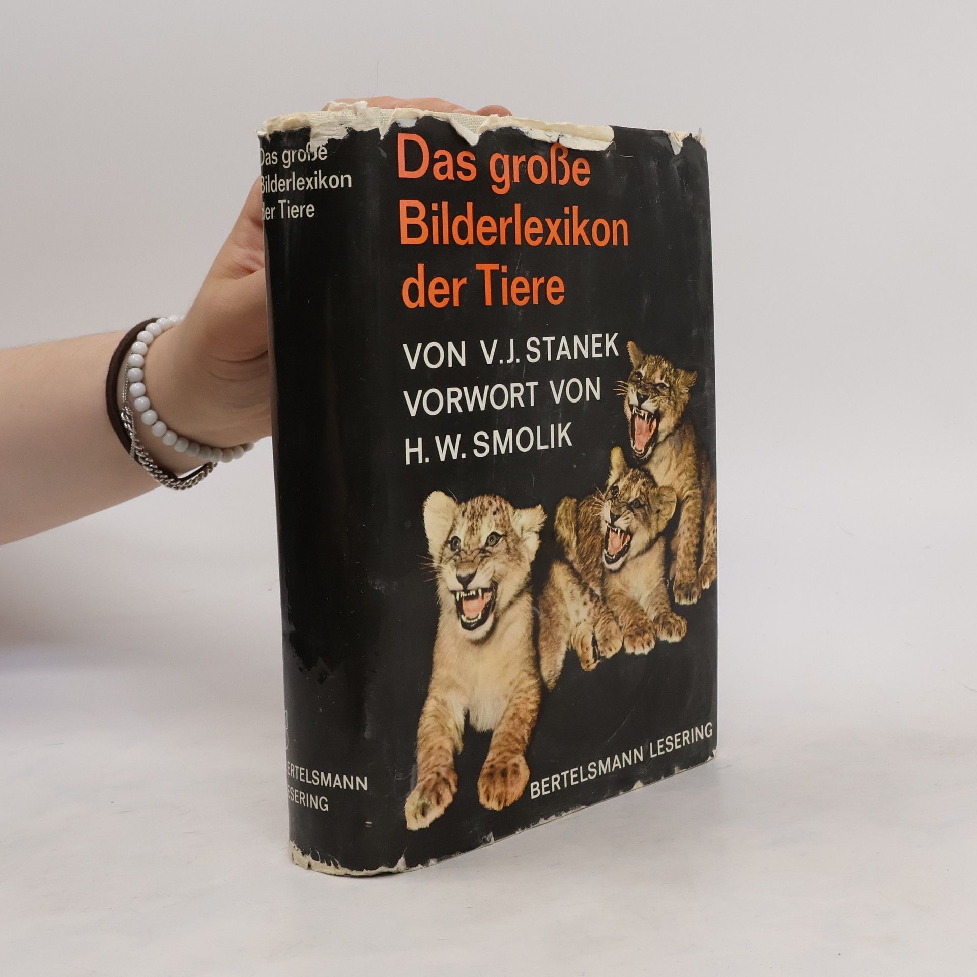Collective Das grosse Bilderlexikon der Tiere