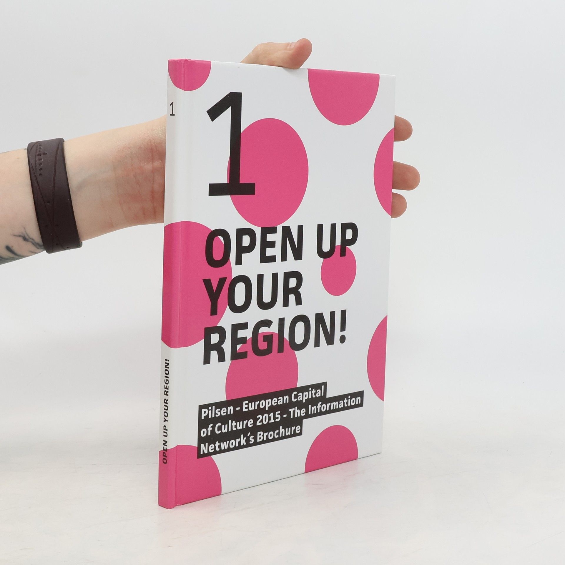 Collectif d'auteurs Open up Your Region! : Pilsen - European Capital of Culture 2015 - The Information Network's Brochure Pilsen