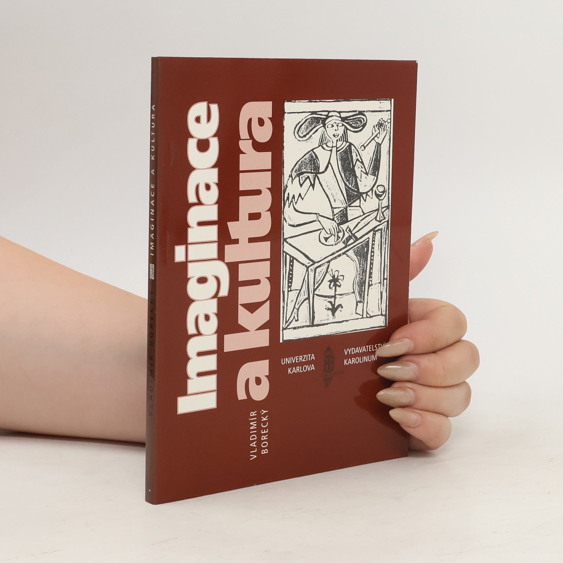 Vladimír Borecký Imaginace a kultura