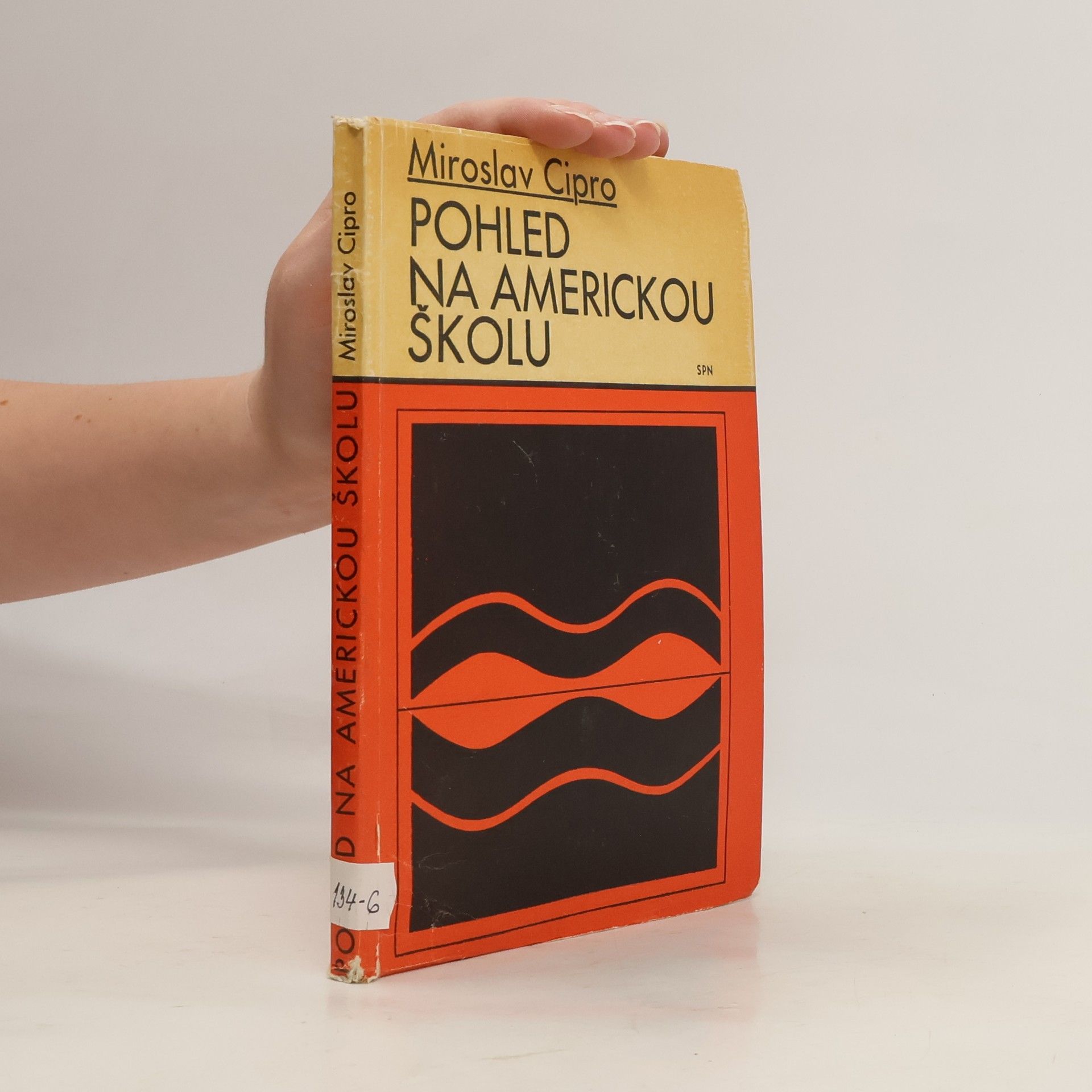 Miroslav Cipro Pohled na Americkou školu
