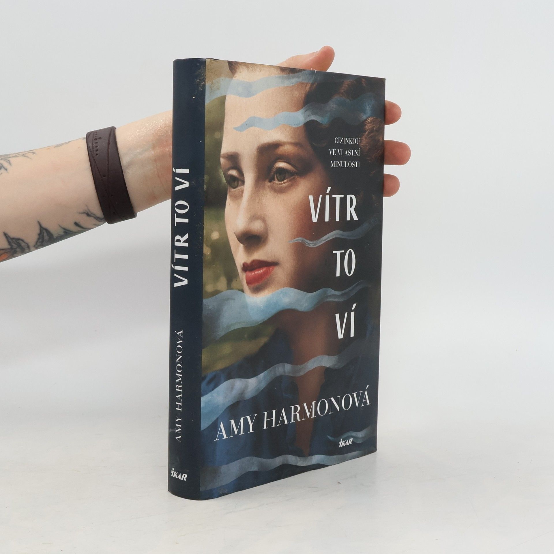 Amy Harmon Vítr to ví