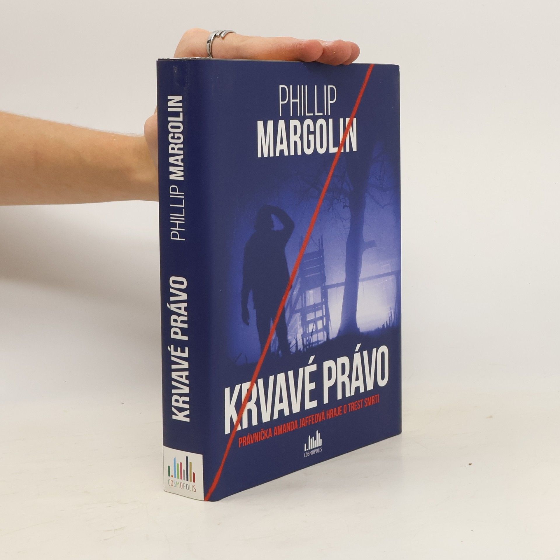 Phillip Margolin Krvavé právo. Právnička Amanda Jaffeová hraje o trest smrti