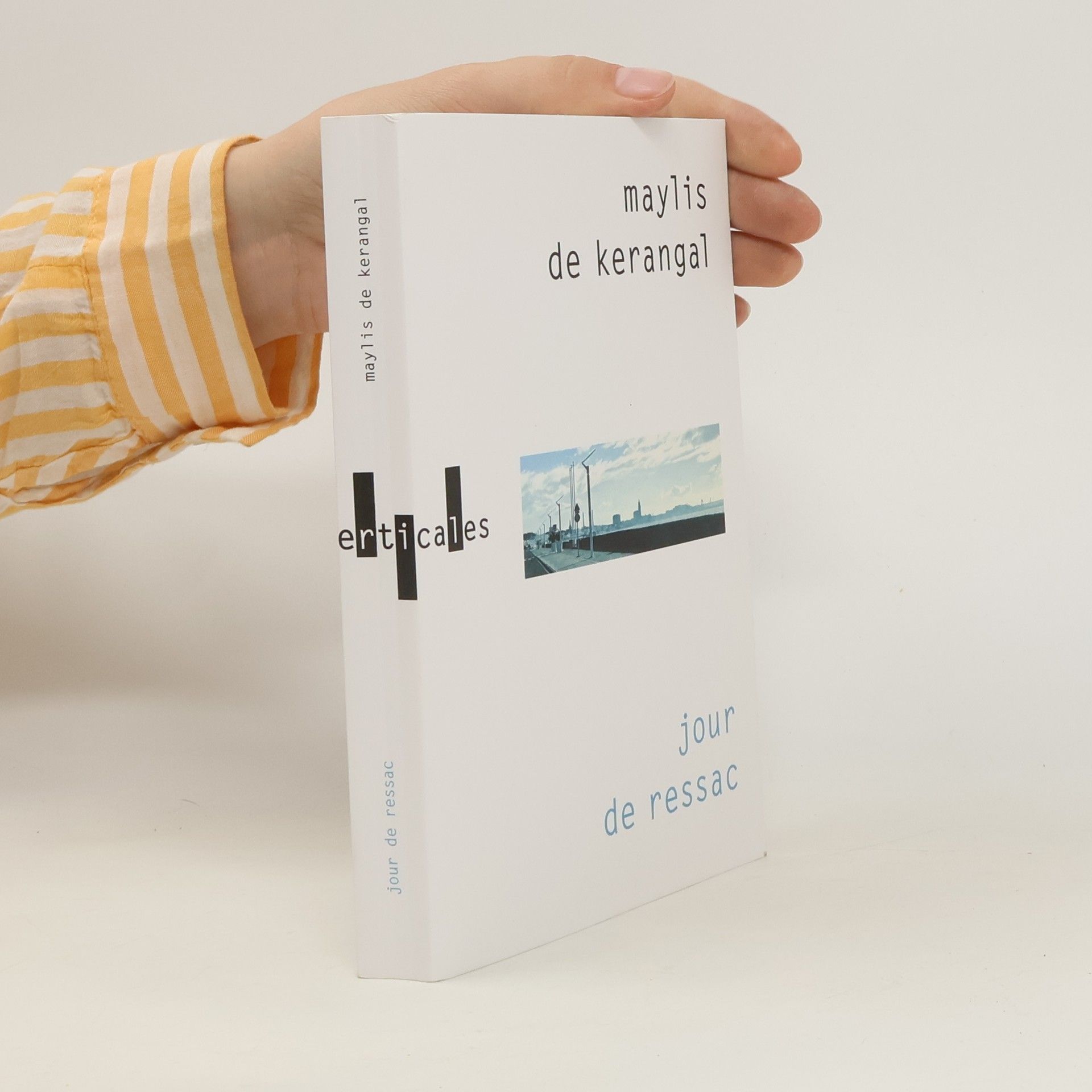 Maylis de Kerangal Jour de ressac