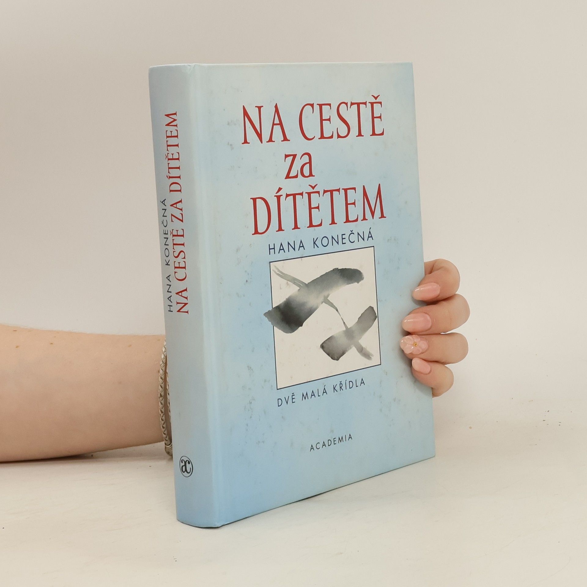Hana Konečná Na cestě za dítětem. Dvě malá křídla
