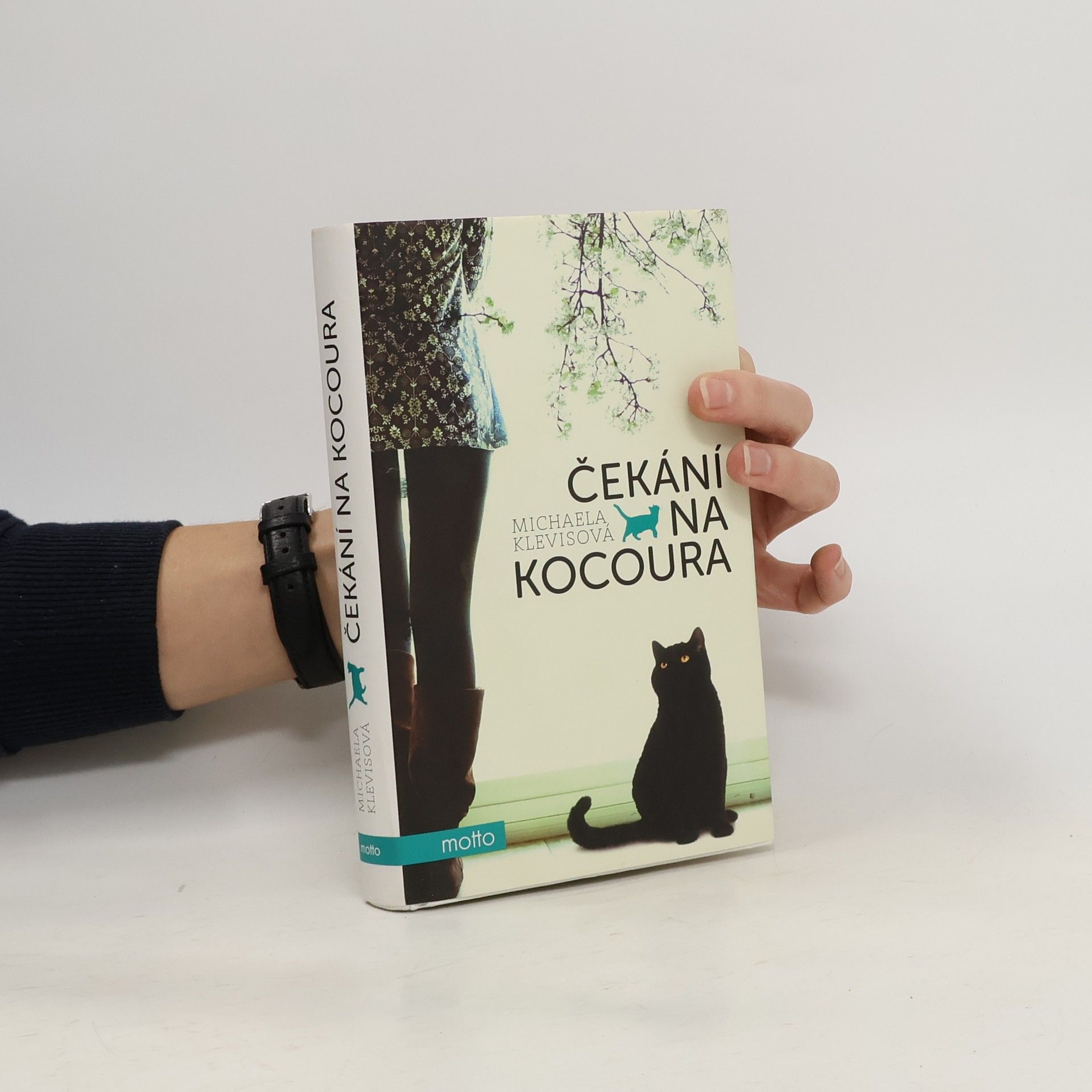 Michaela Klevisová Čekání na kocoura : příběhy o kočkách a jejich lidech