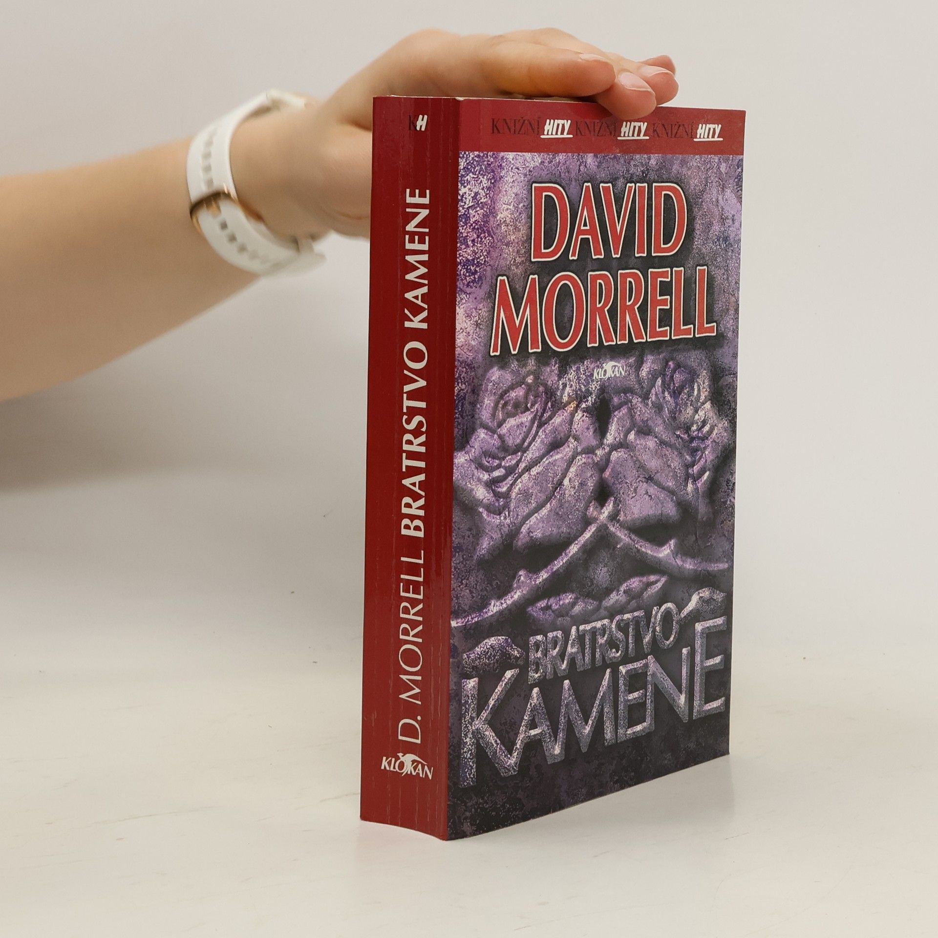 David Morrell Bratrstvo kamene