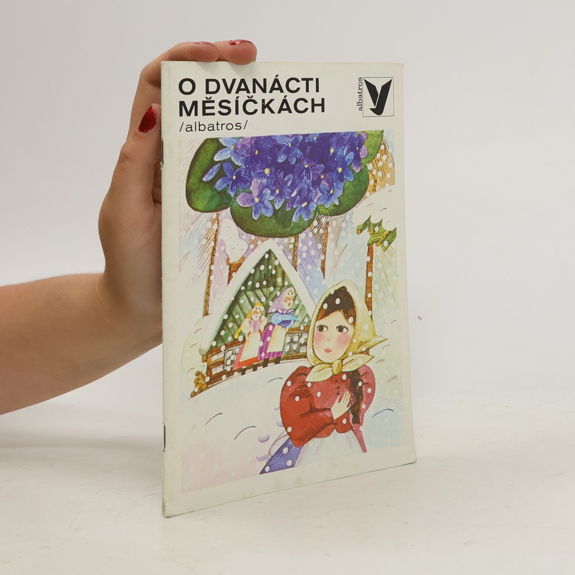 AA.VV. O dvanácti měsíčkách