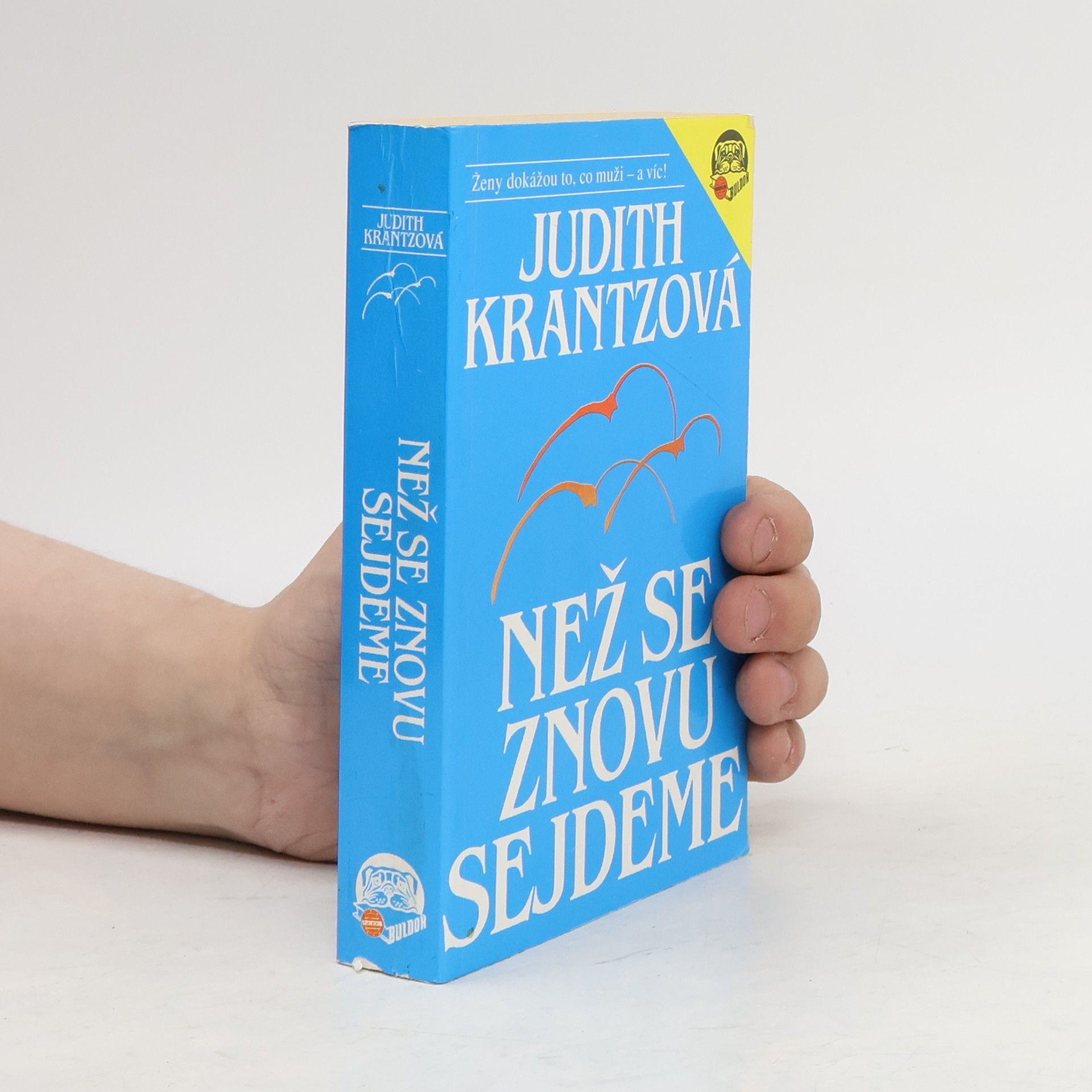 Judith Krantz Než se znovu sejdeme