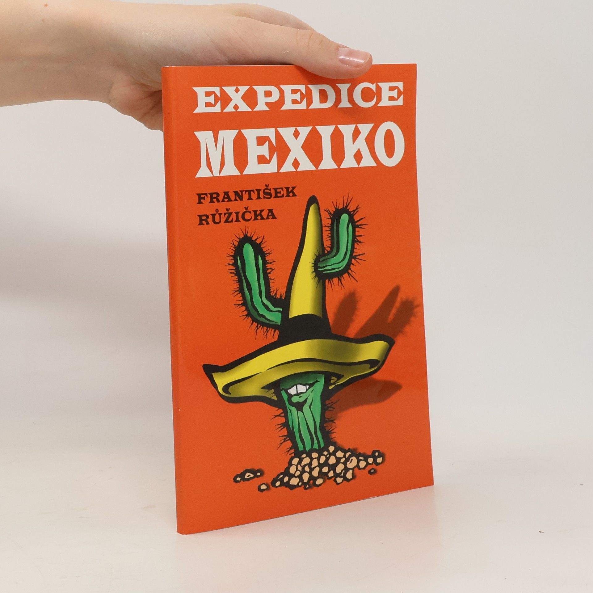 František Růžička Expedice Mexiko. Fragmenty mexické. Pouť do Guadalupe - březen 1998.)