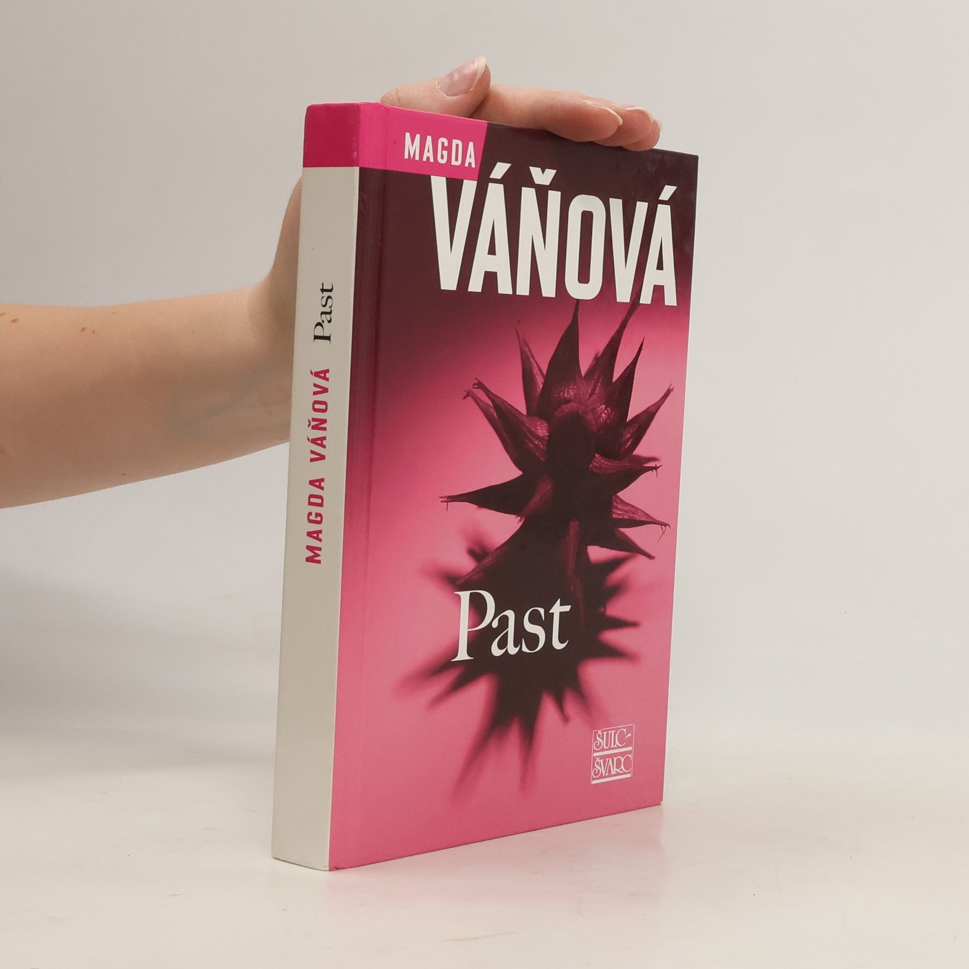 Magda Váňová Past
