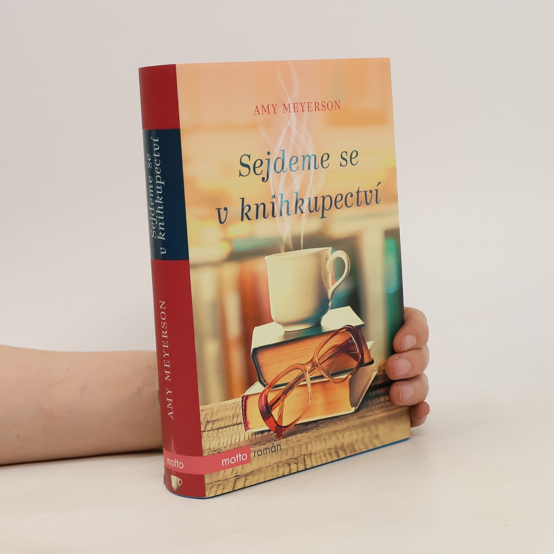 Amy Meyerson Sejdeme se v knihkupectví