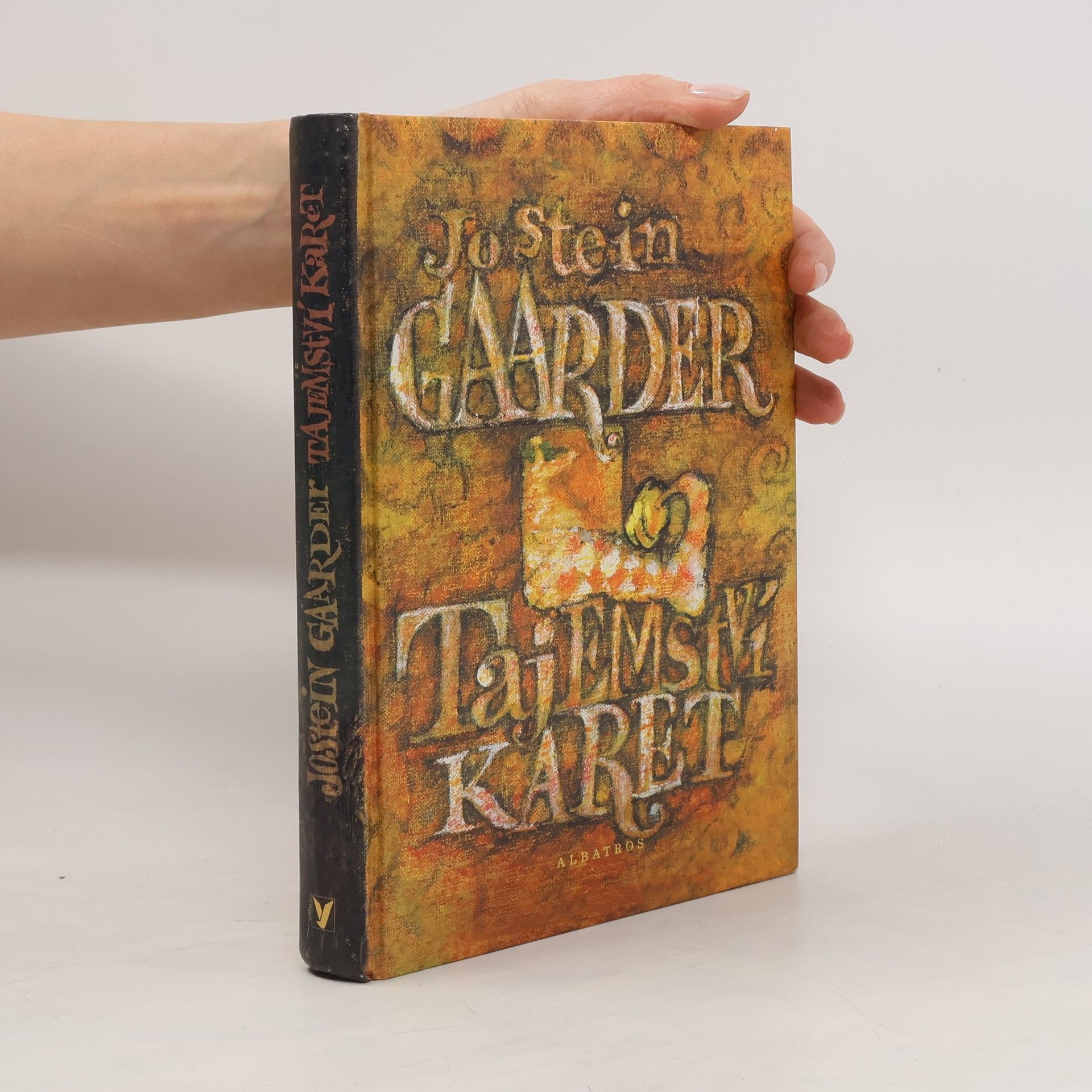Jostein Gaarder Tajemství karet