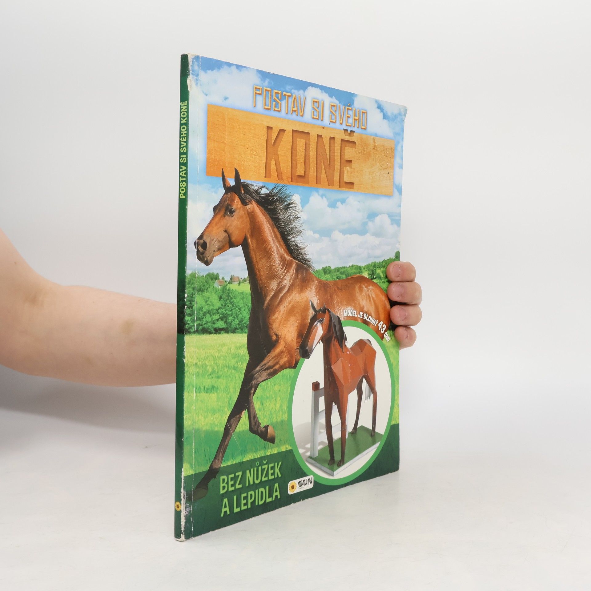 kolektiv Postav si svého koně