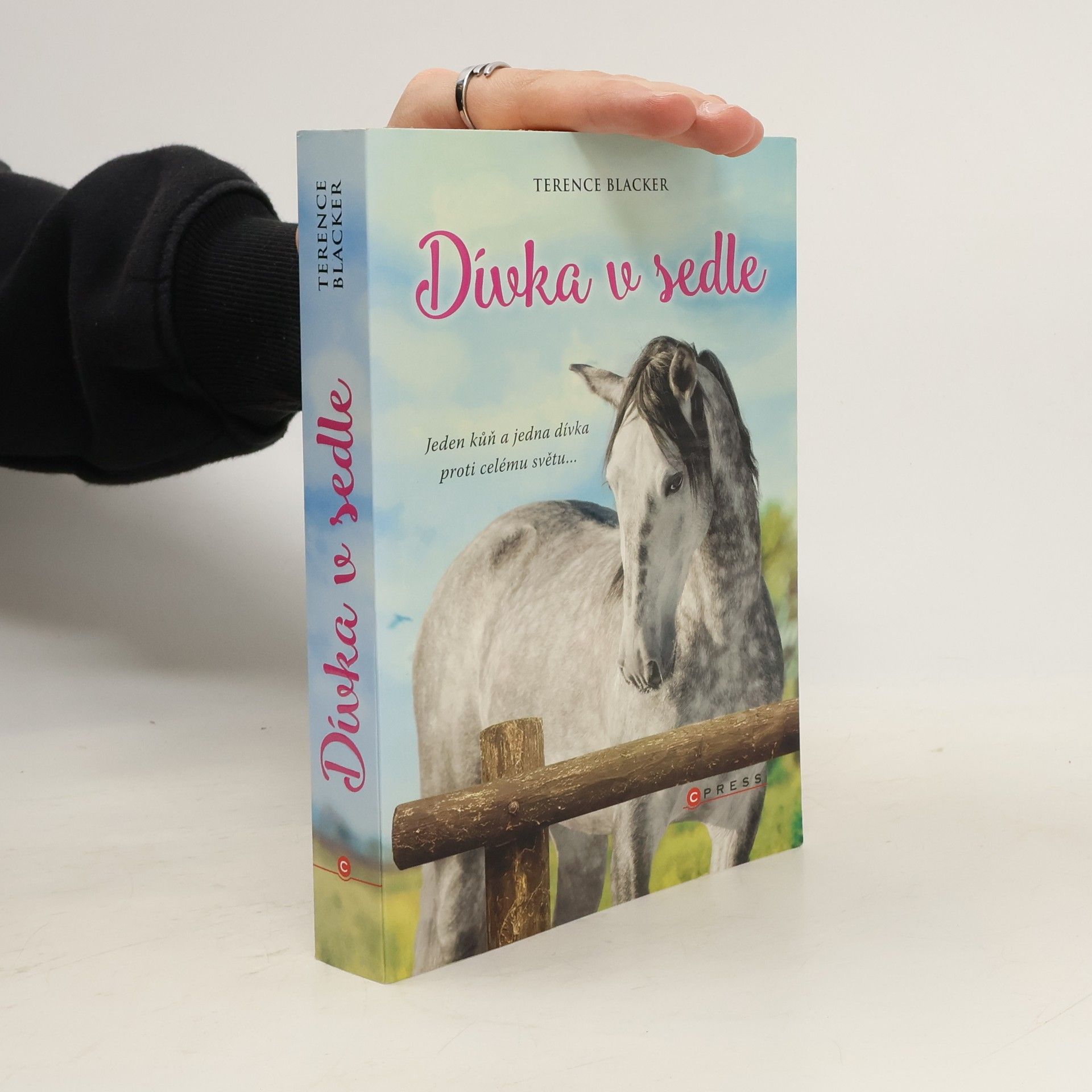 Terence Blacker Dívka v sedle