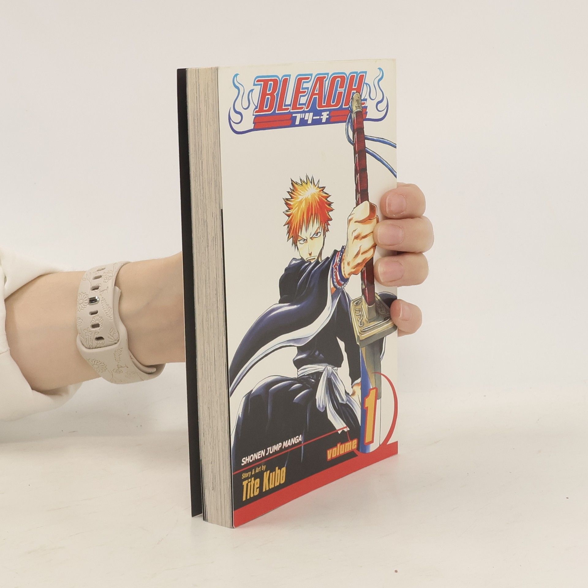 Tite Kubo Bleach, Vol. 1
