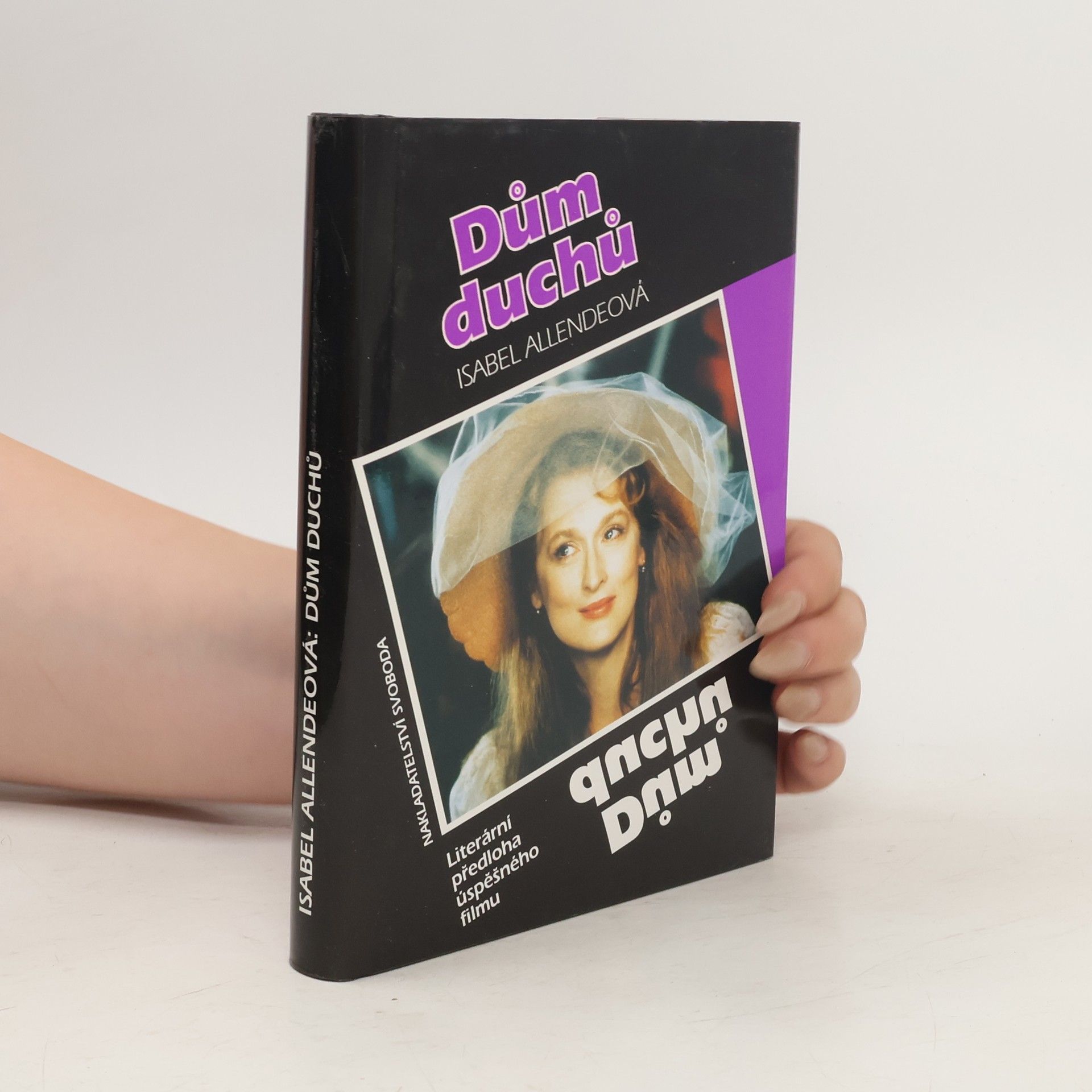 Isabel Allende Dům duchů