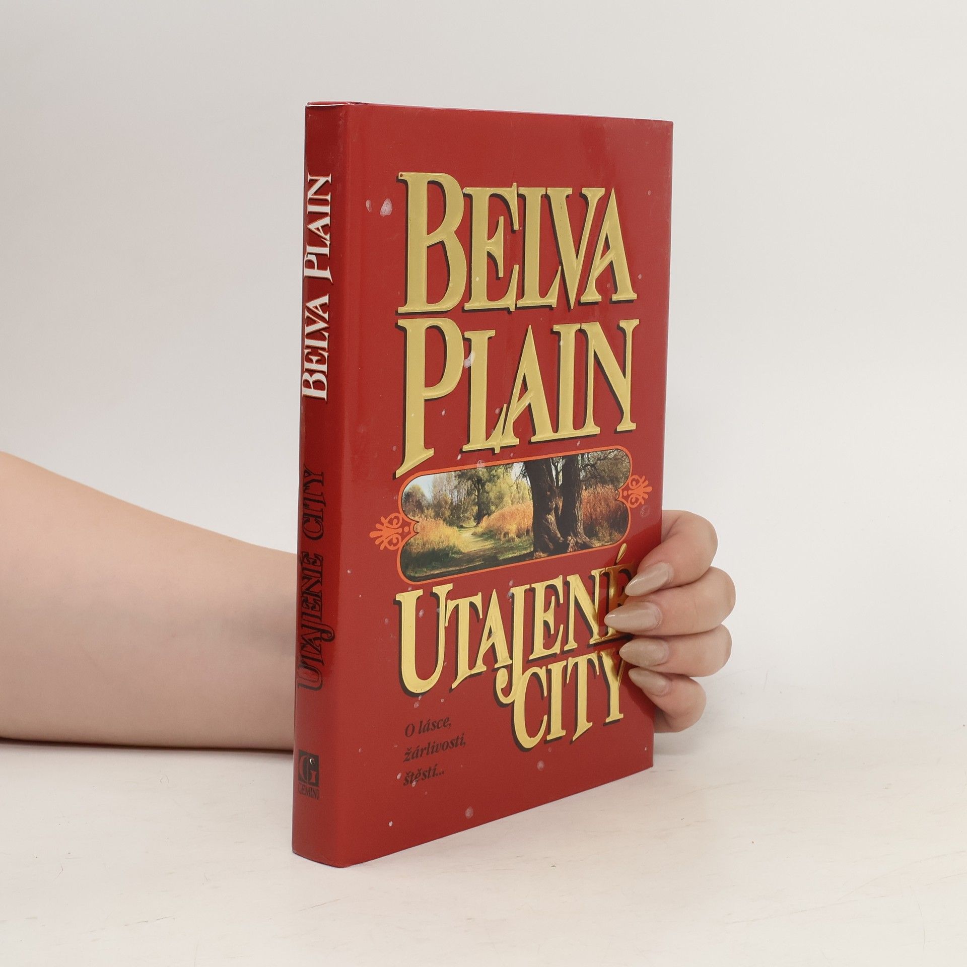 Belva Plain Utajené city
