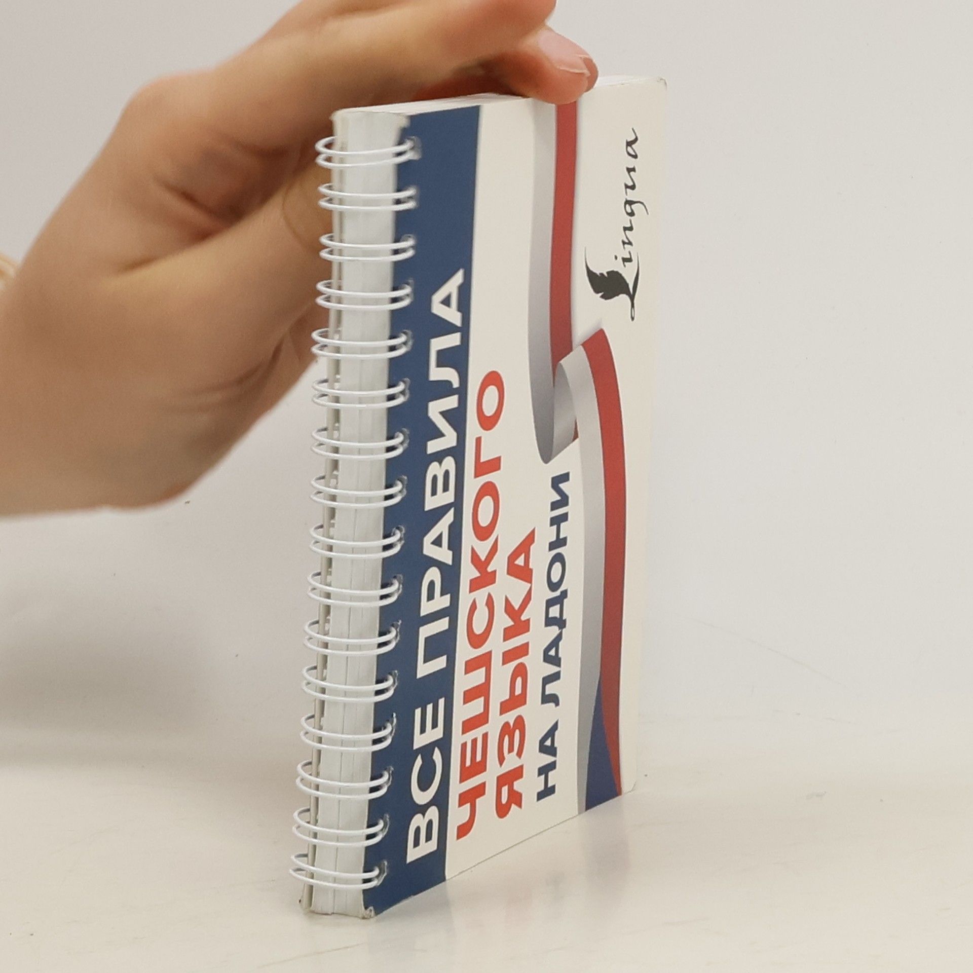 Autorenkollektiv Все правила чешского языка на ладони