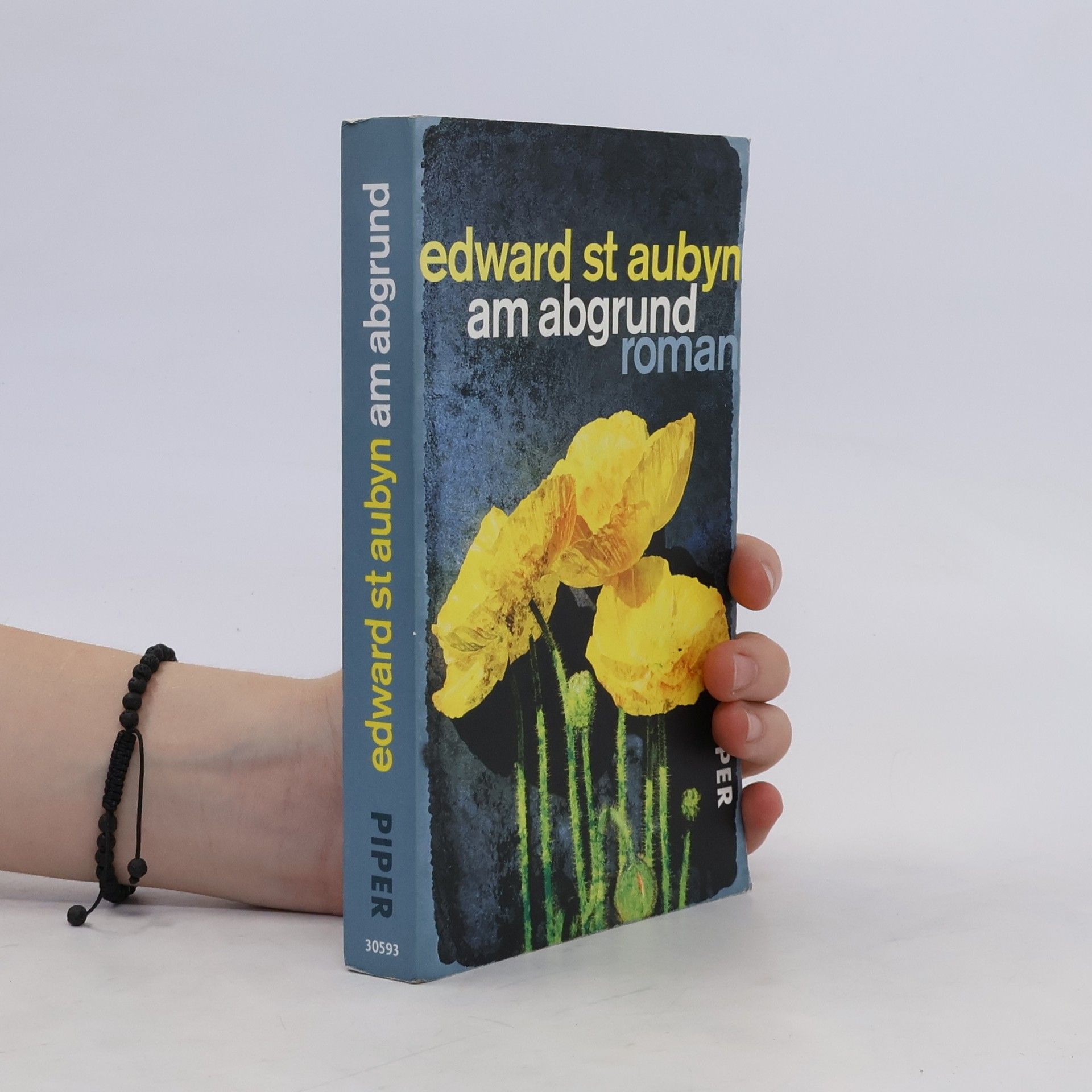 Edward St Aubyn Am Abgrund
