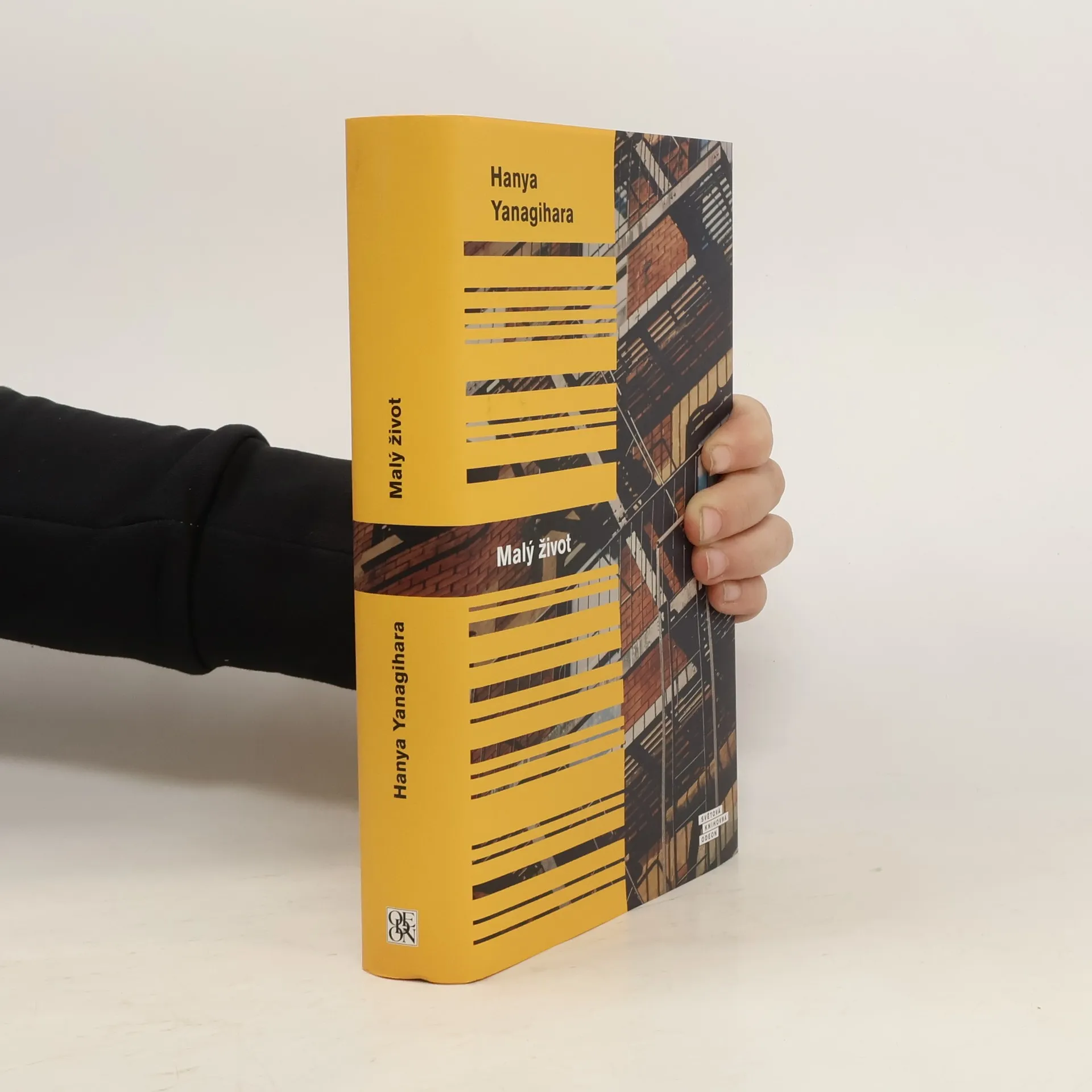 Malý život | Kniha | pevná | Hanya Yanagihara | CS