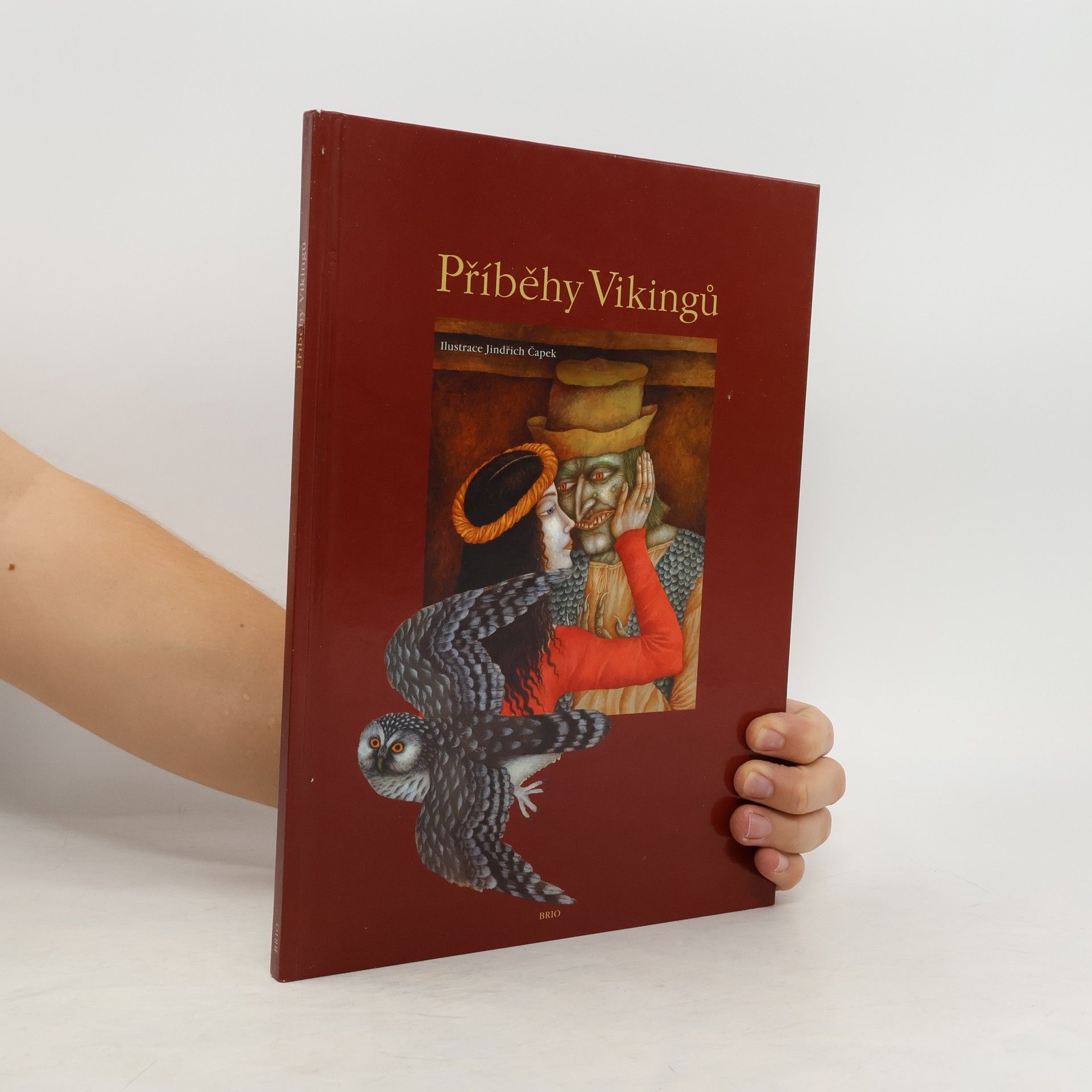 Veronika Dudková Příběhy Vikingů