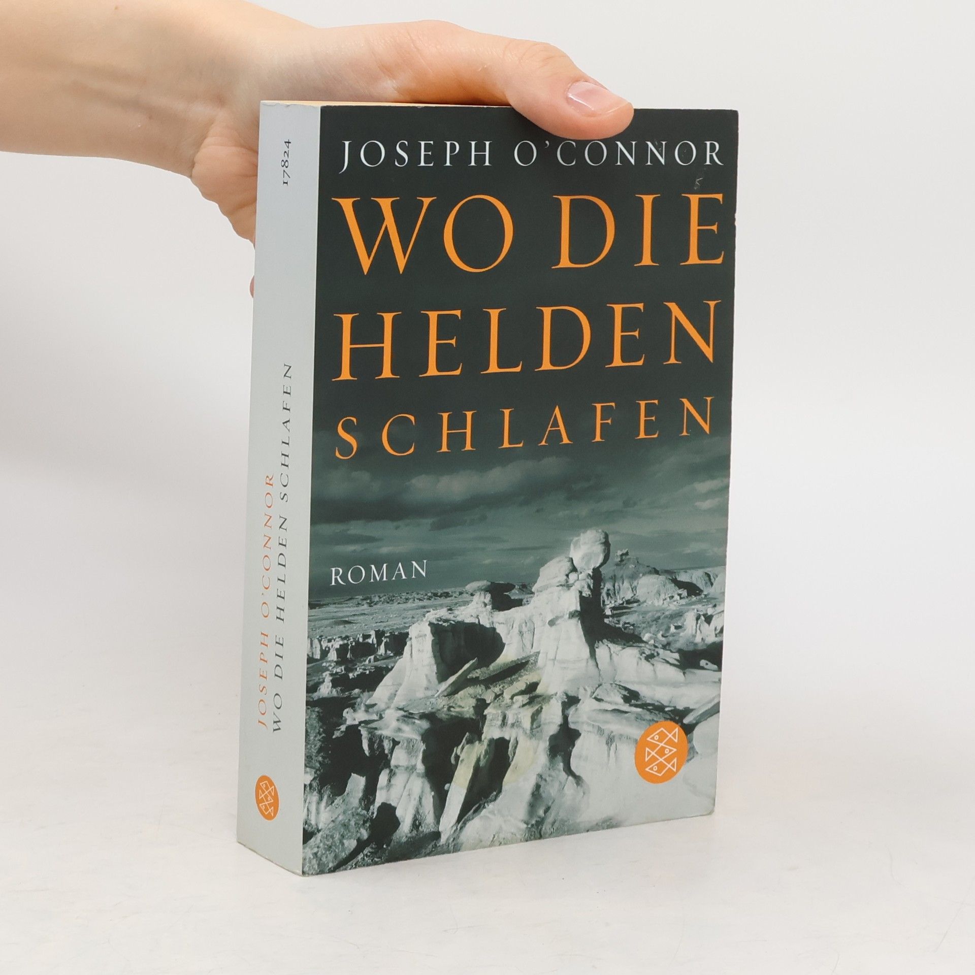 Joseph O'Connor Wo die Helden schlafen