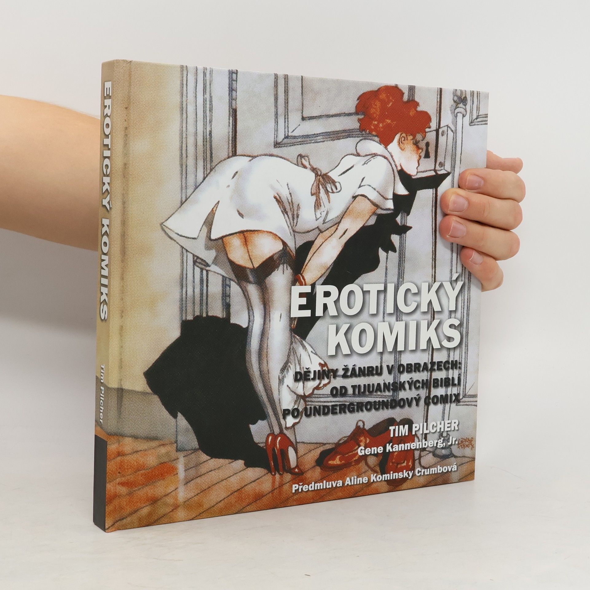 Tim Pilcher Erotický komiks: Dějiny žánru v obrazech