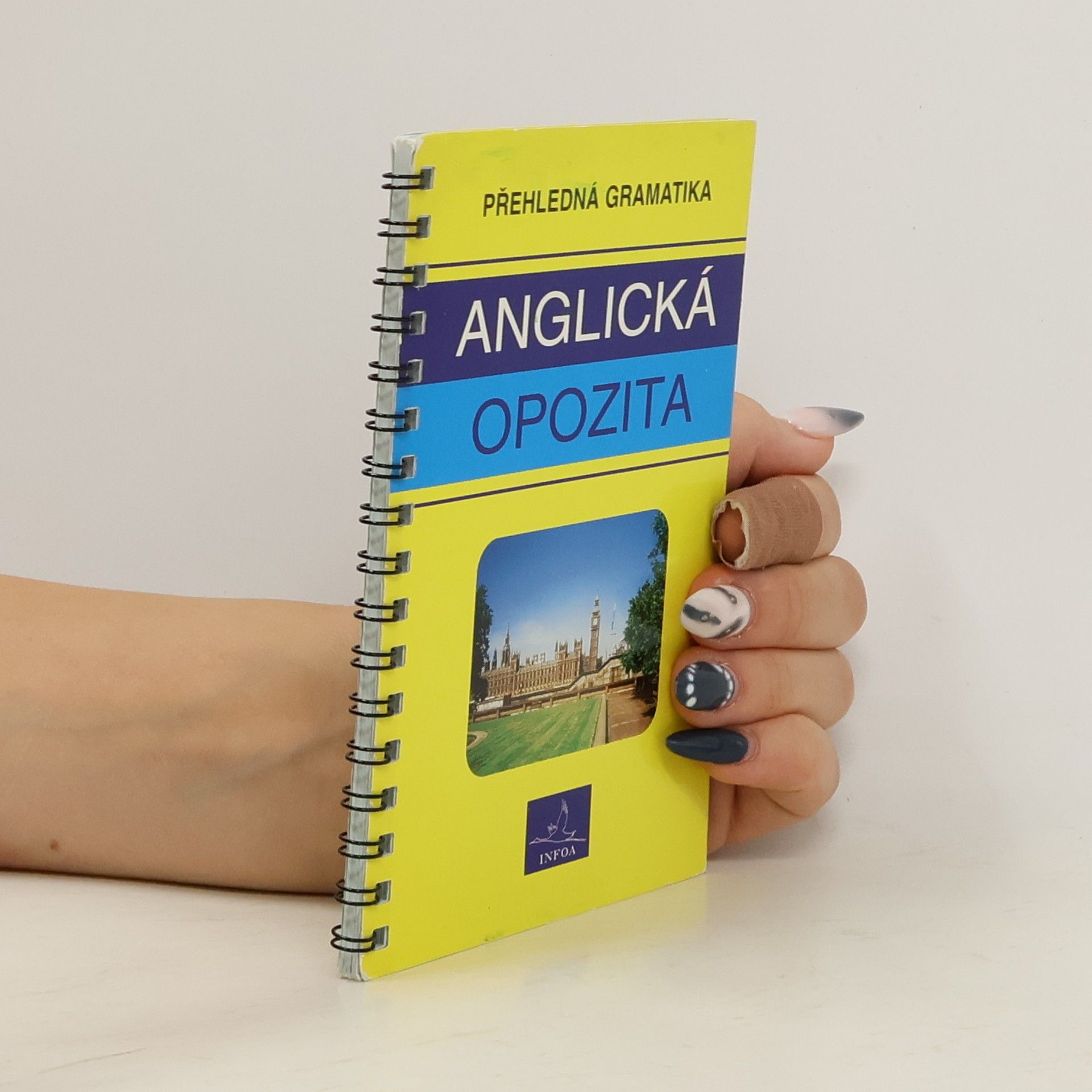 Radka Badalová Anglická opozita : přehledná gramatika