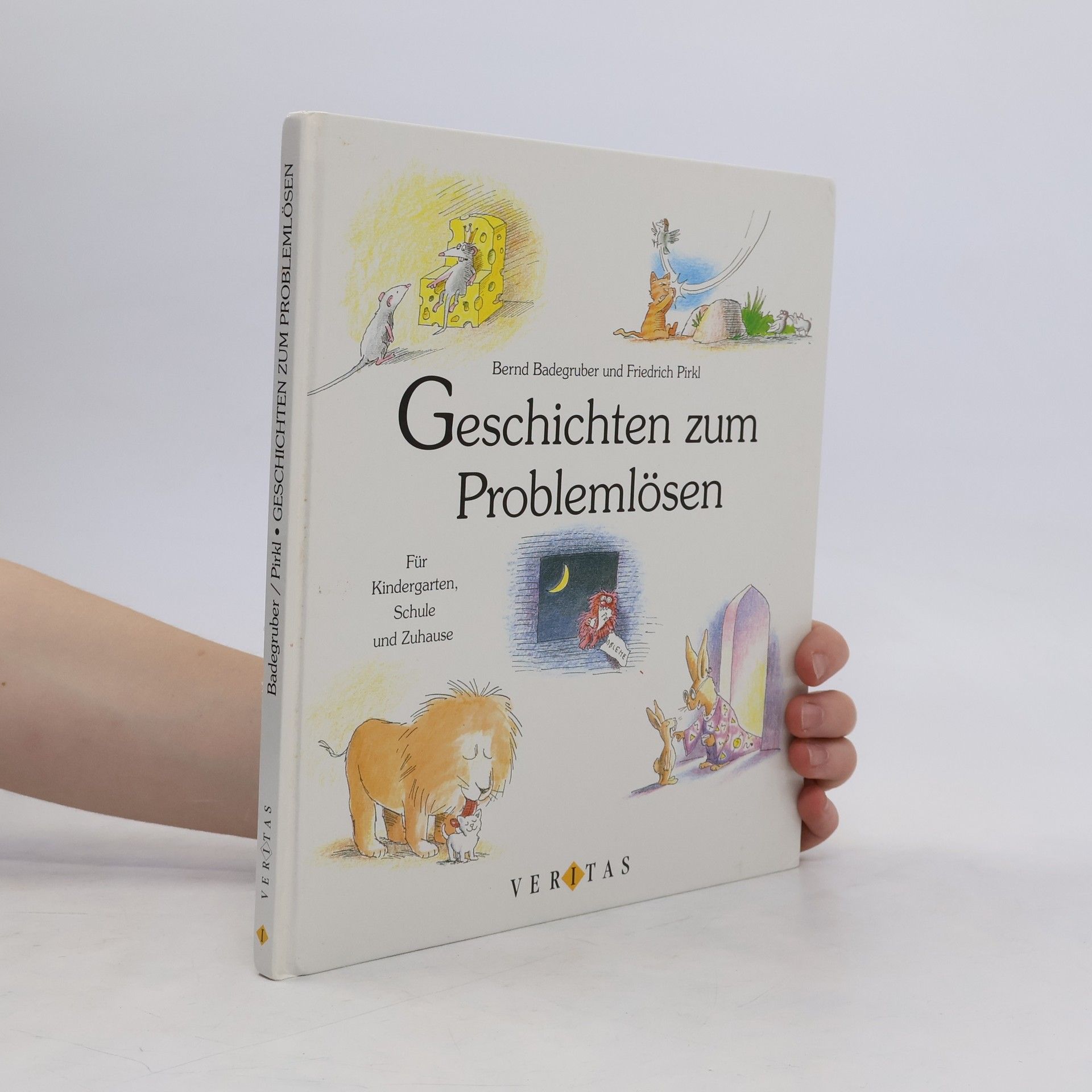 Bernd Badegruber Geschichten zum Problemlösen