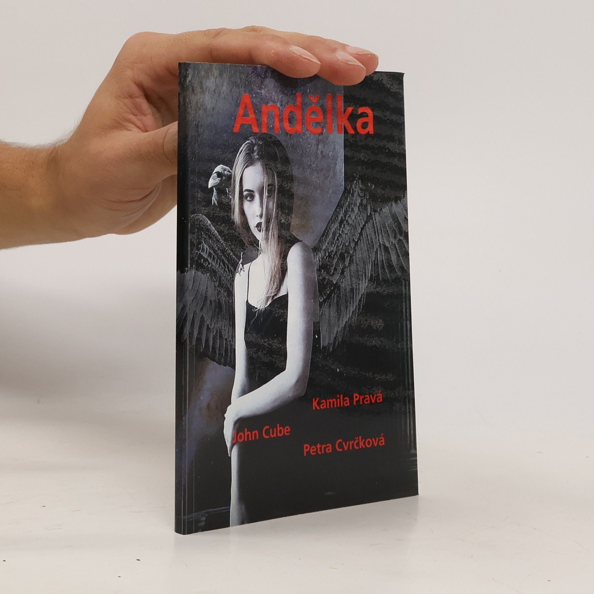 AA.VV. Andělka (9. antologie českého hororu)