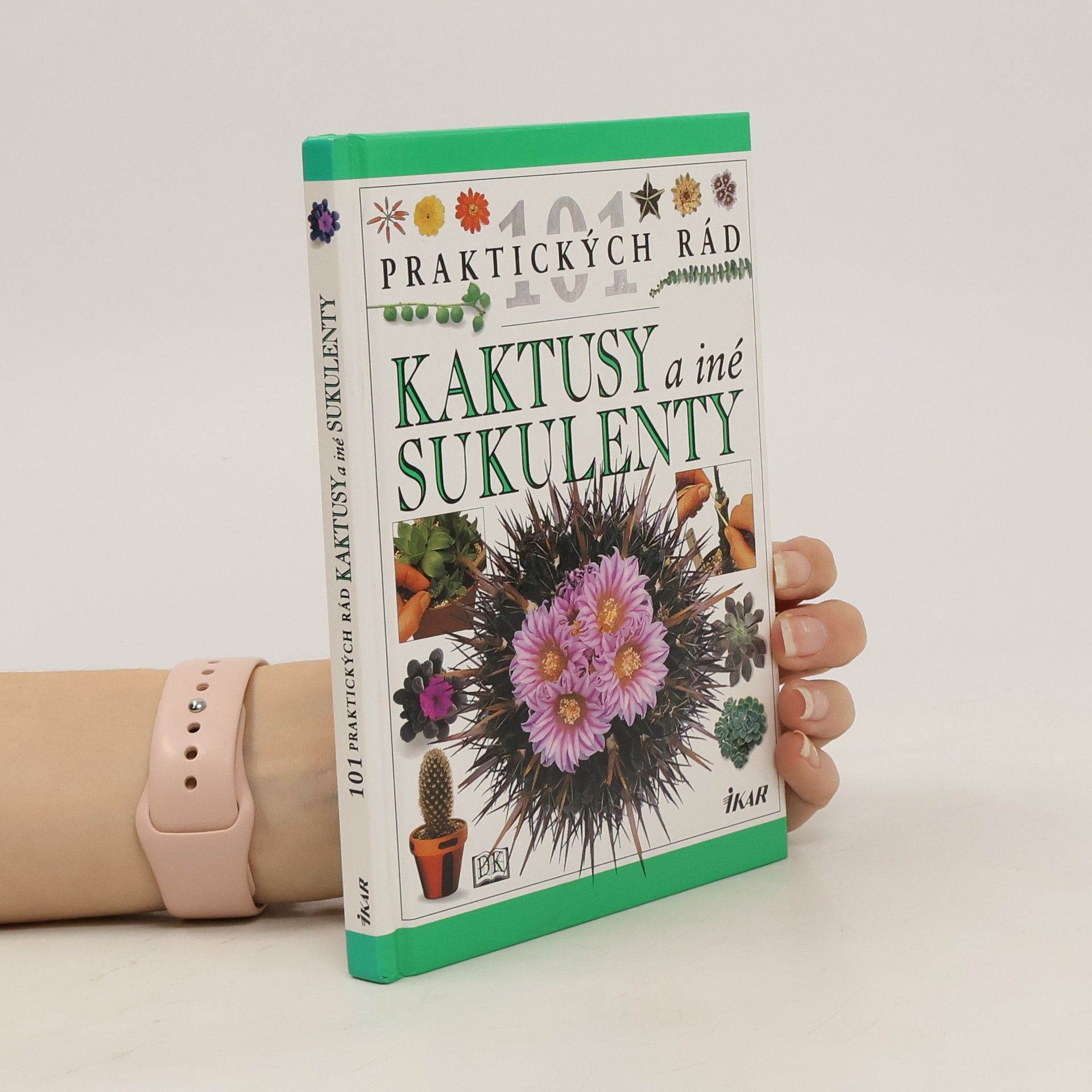 Hewitt Terry Kaktusy a iné sukulenty