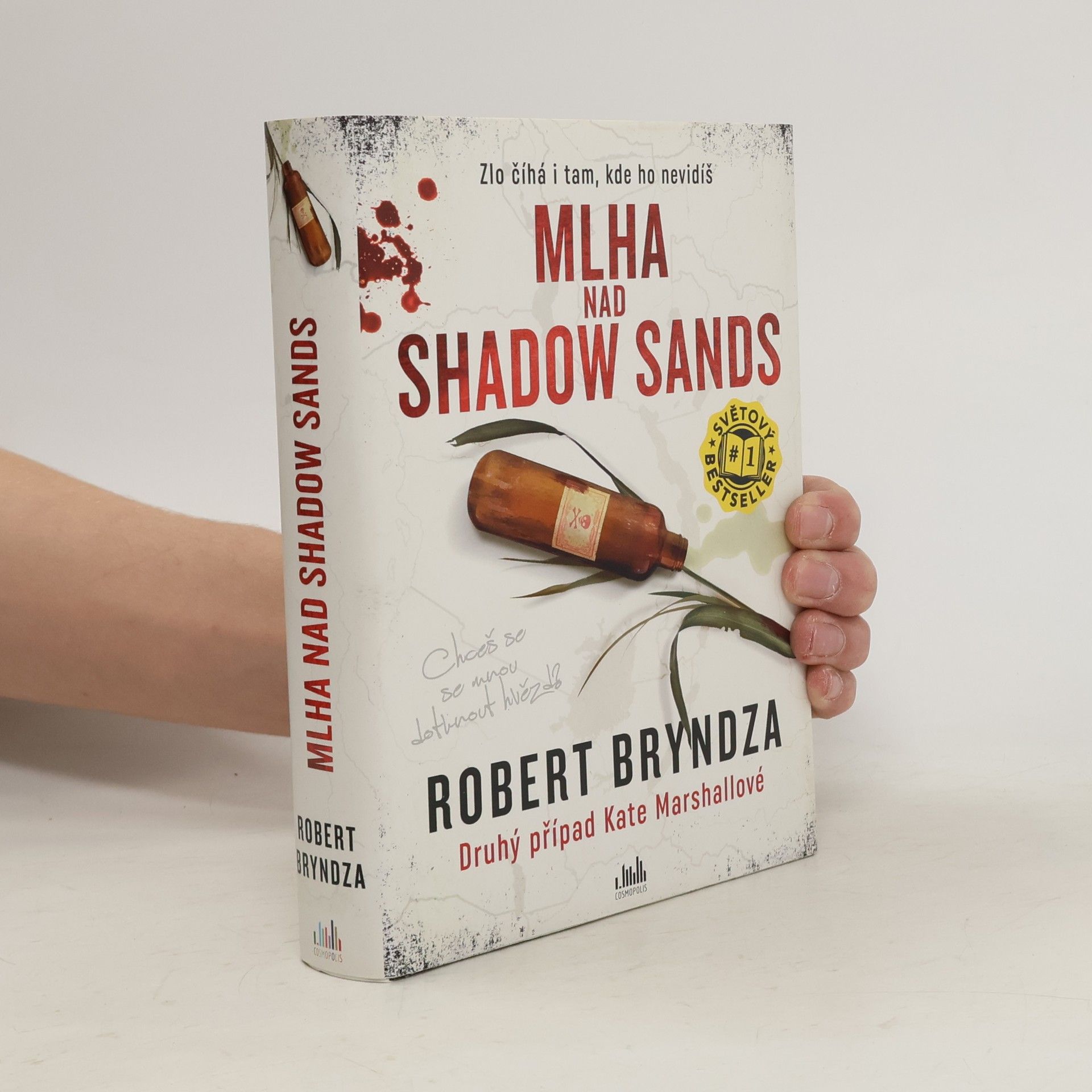 Robert Bryndza Mlha nad Shadow Sands