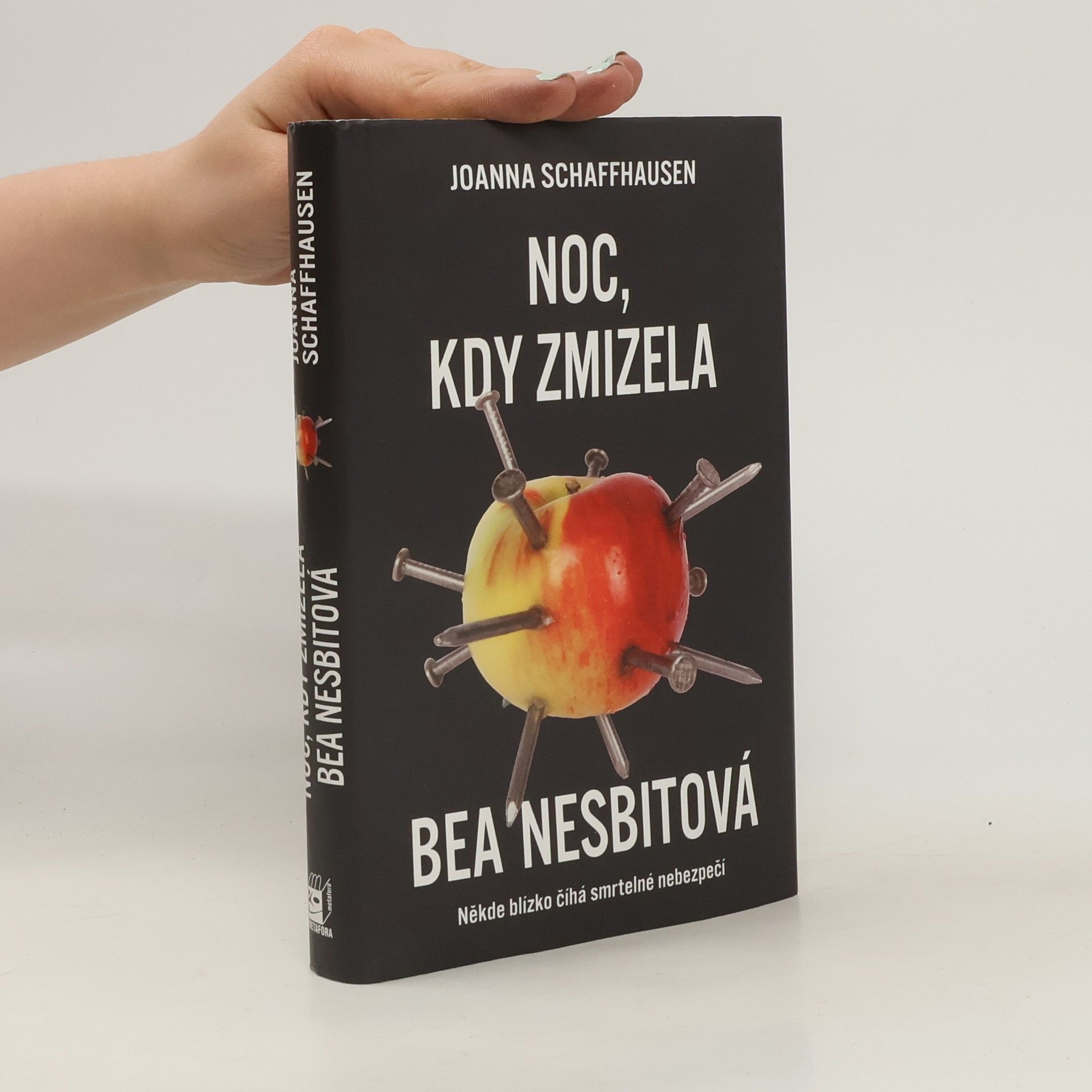 Joanna Schaffhausen Noc, kdy zmizela Bea Nesbitová