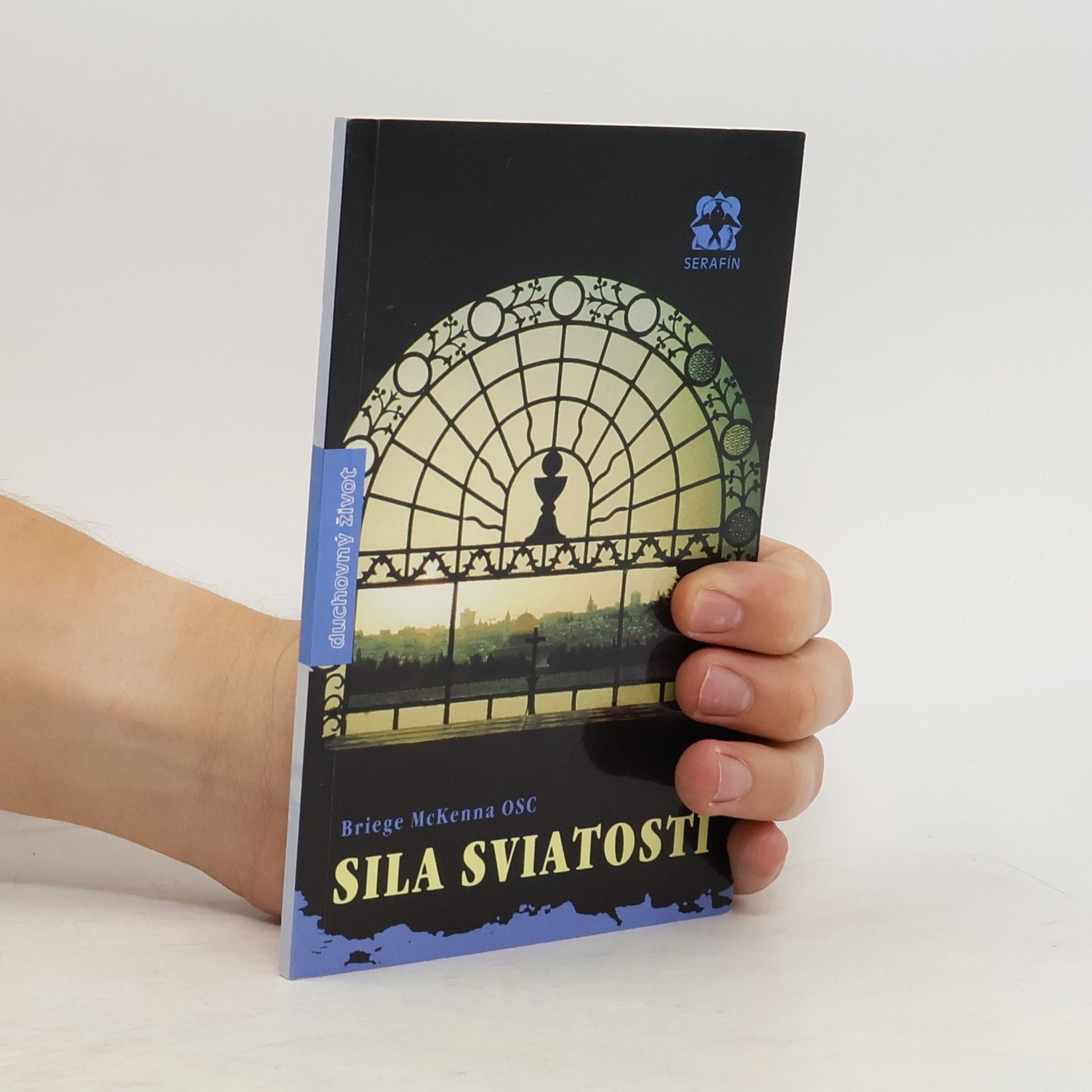 Briege McKenna Sila sviatostí