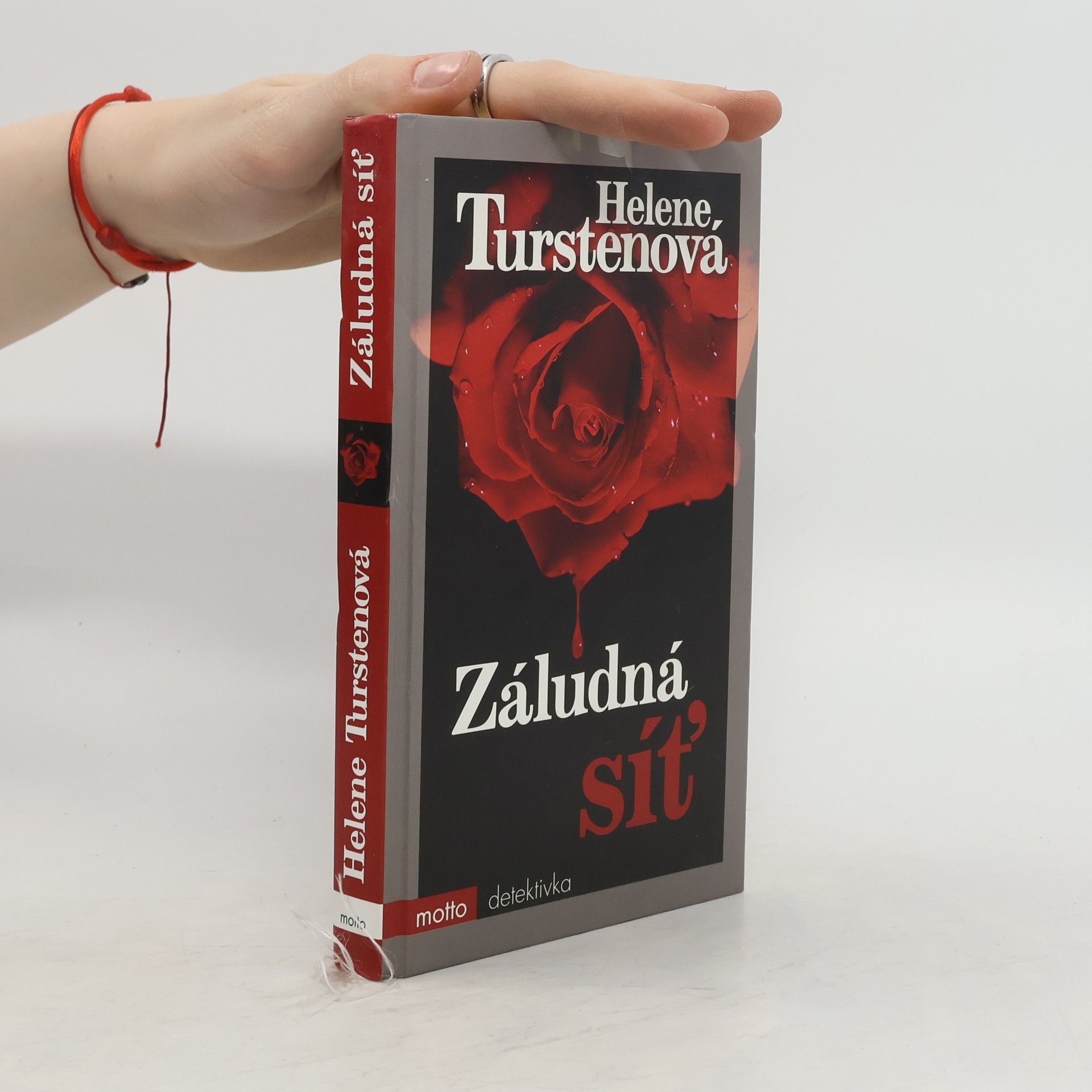 Helene Tursten Záludná síť